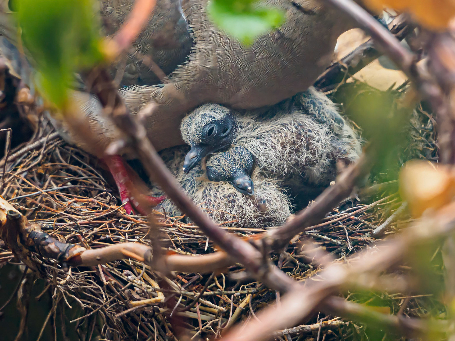 21417044 Keeping Babies Warm