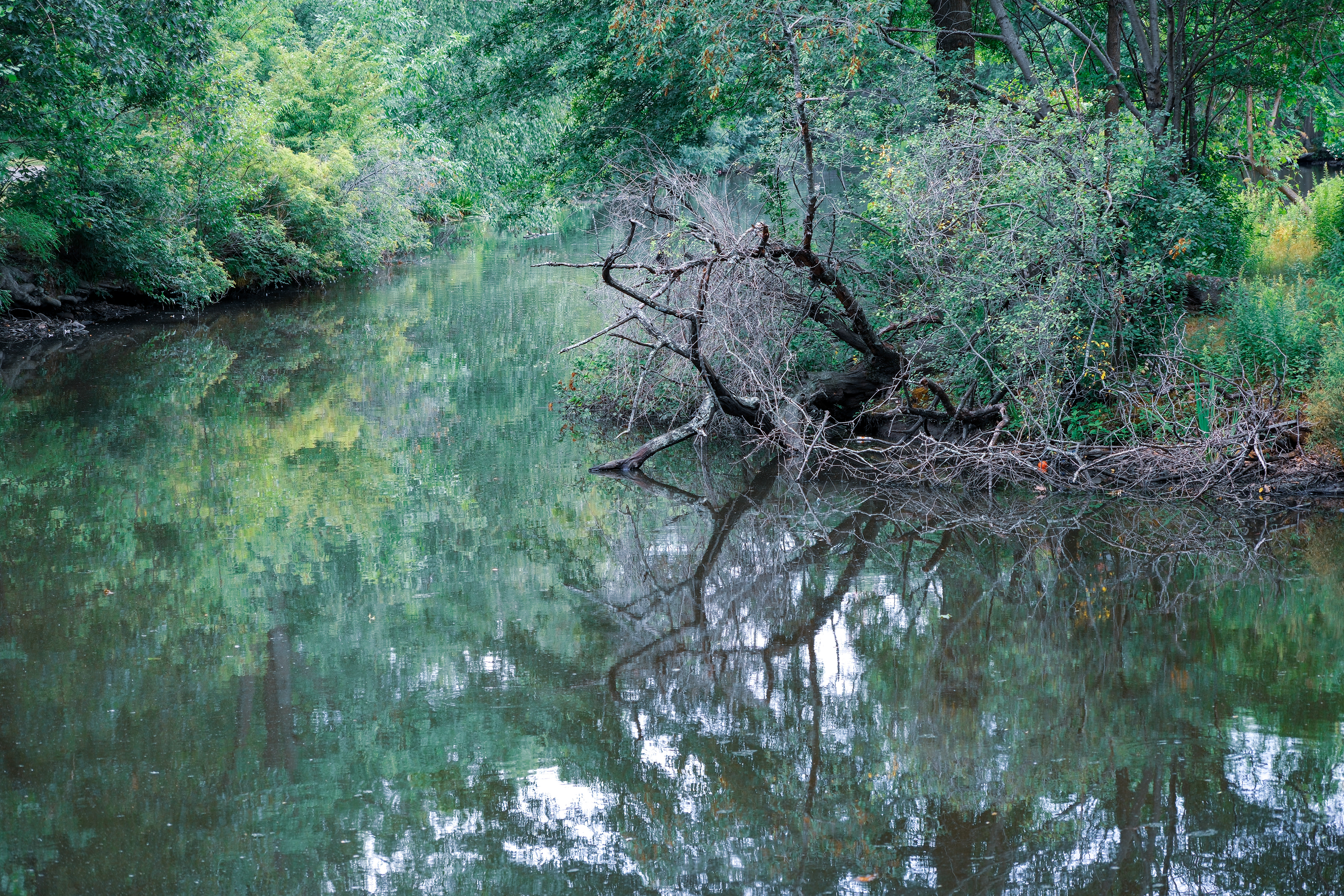 250720-224 Back Bay Fens