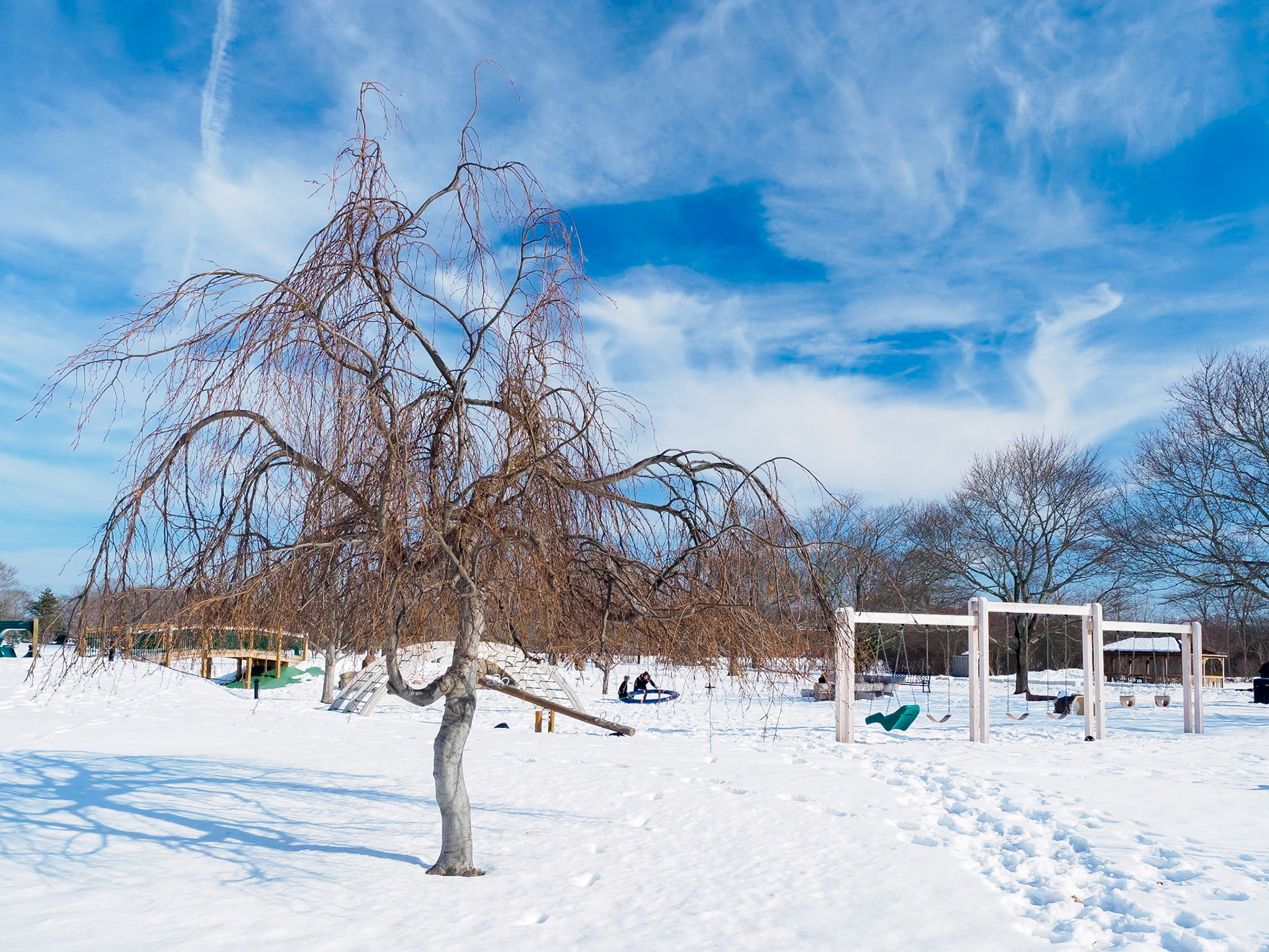 17218005 Playground and Trees