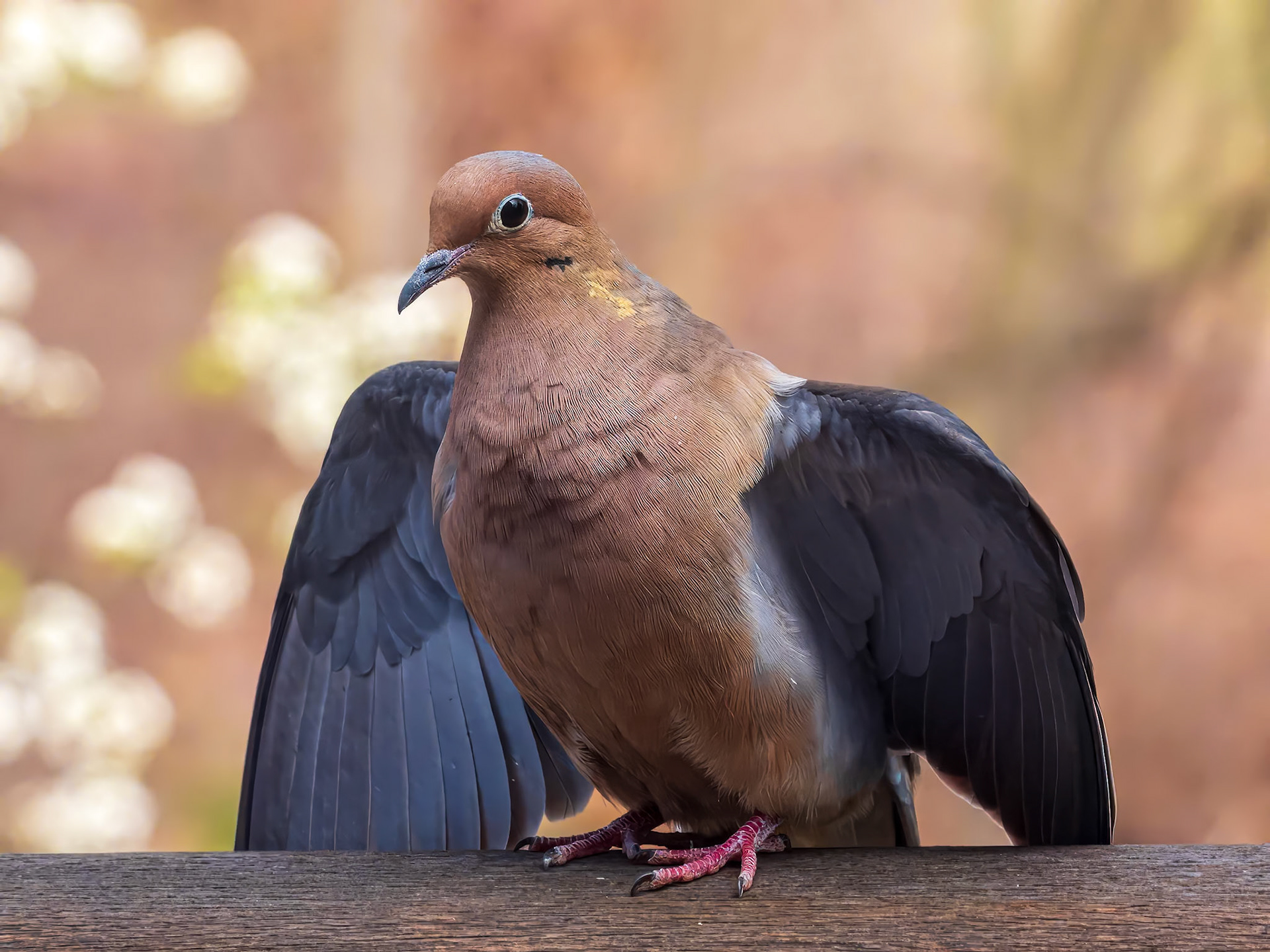 20423052 Batman Simulation