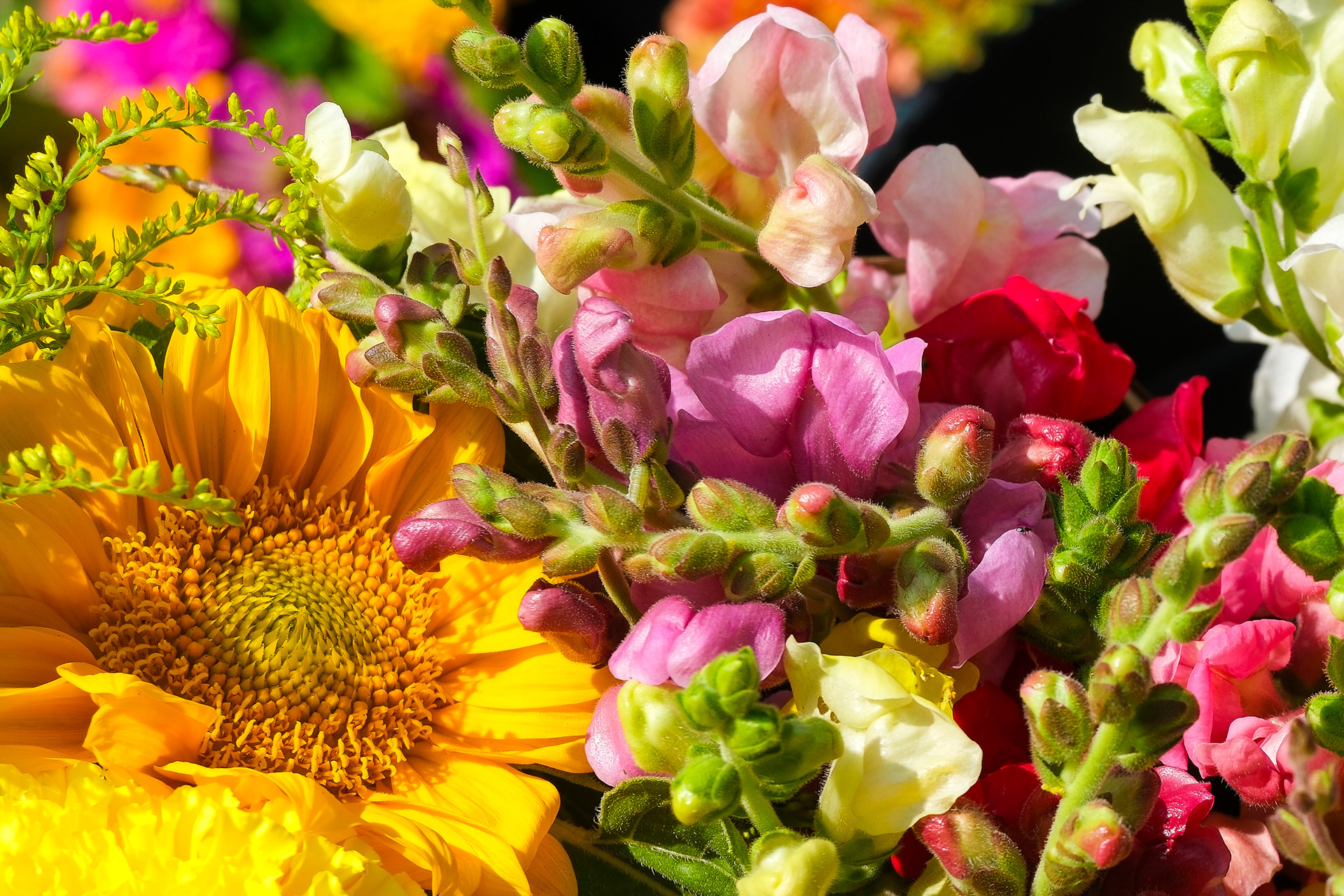 250726-360 Upswing Farm Bouquet 3