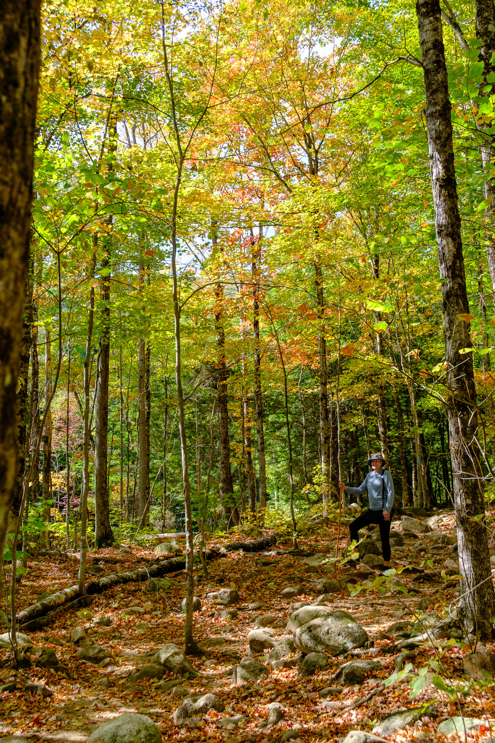 250911-814 Bemis Brook Trail