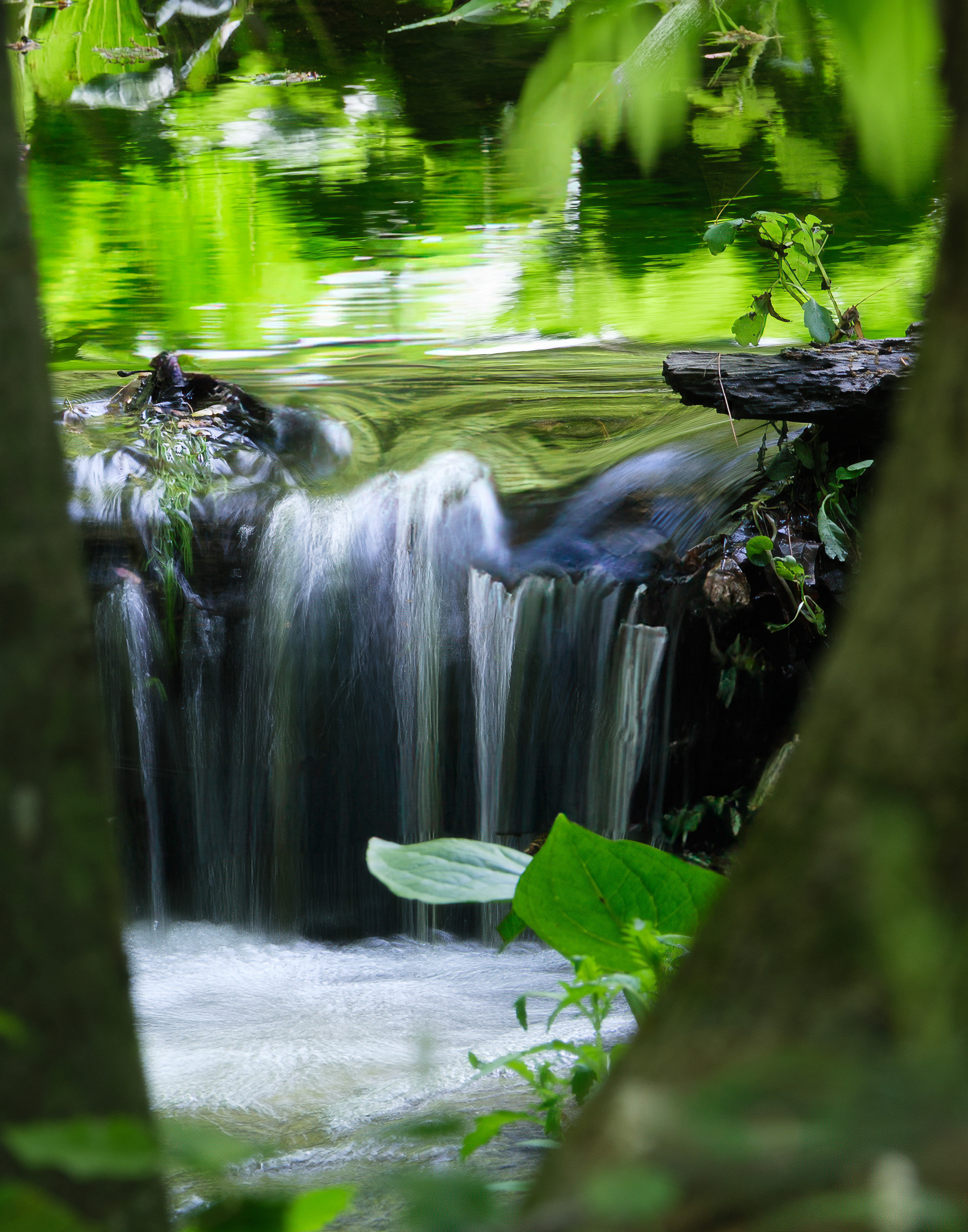 250513-331 Mini Waterfall along Landham Brook