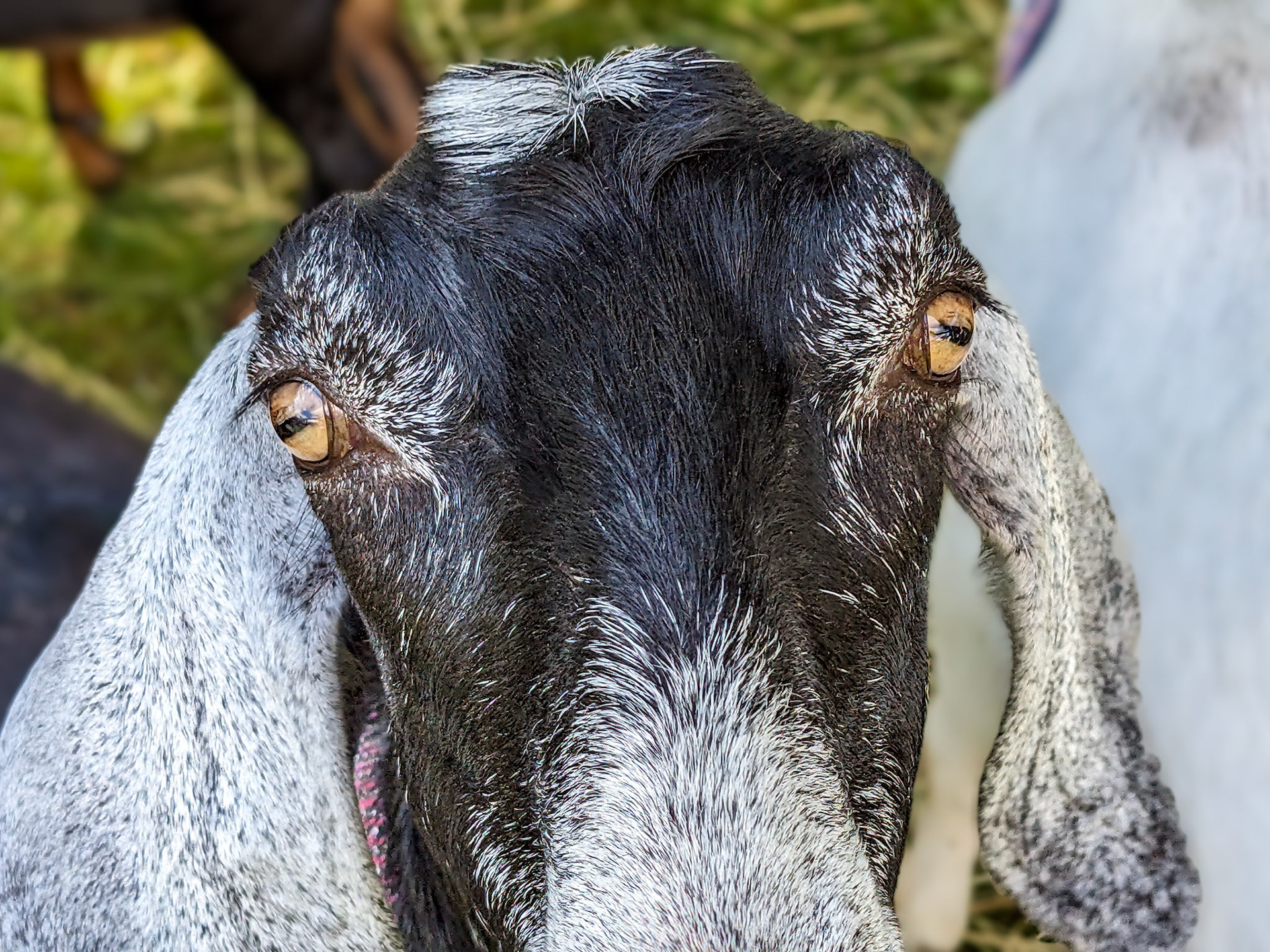 PXL_20230722_143311675