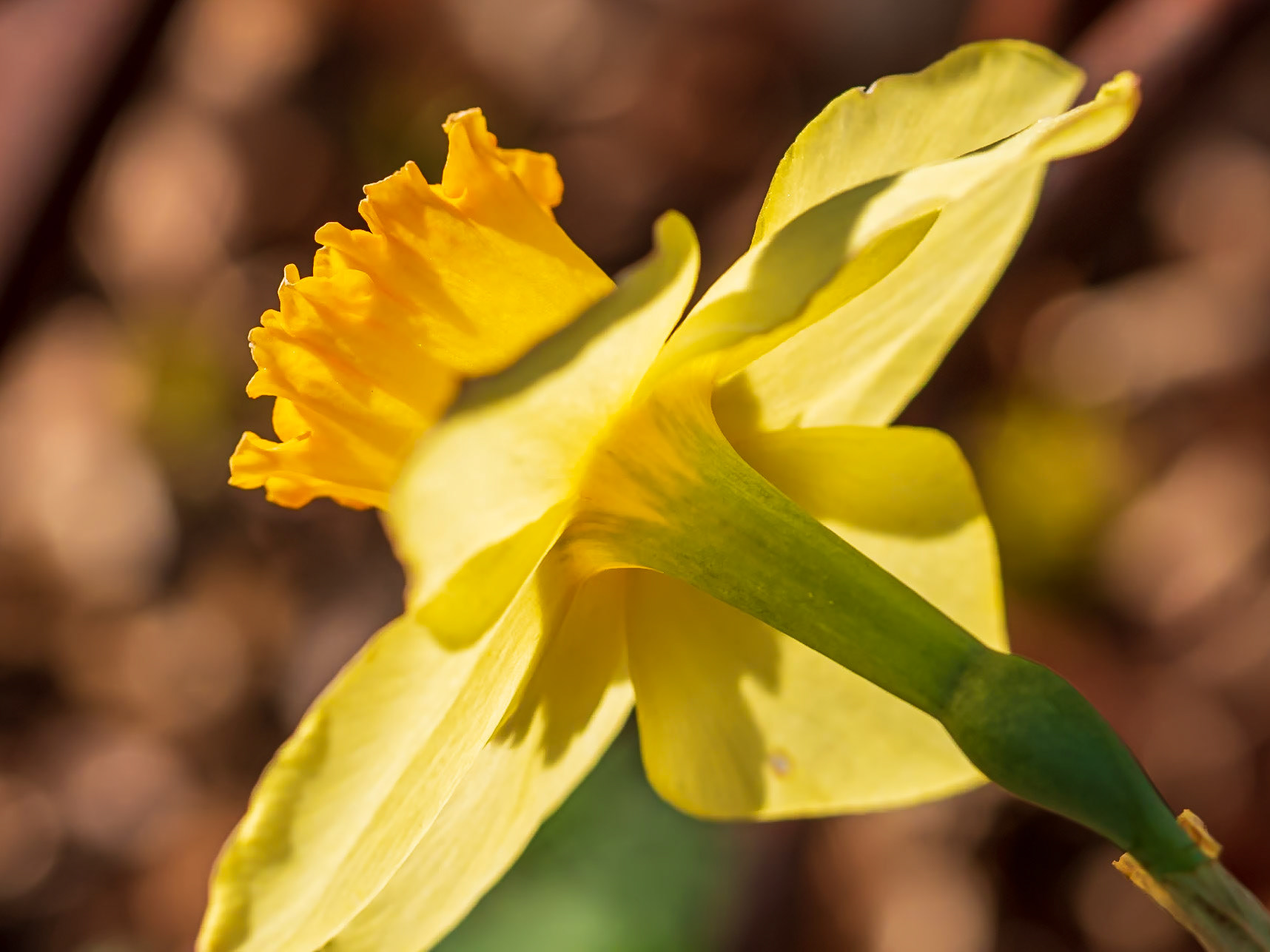 21424080 Stem to Stern