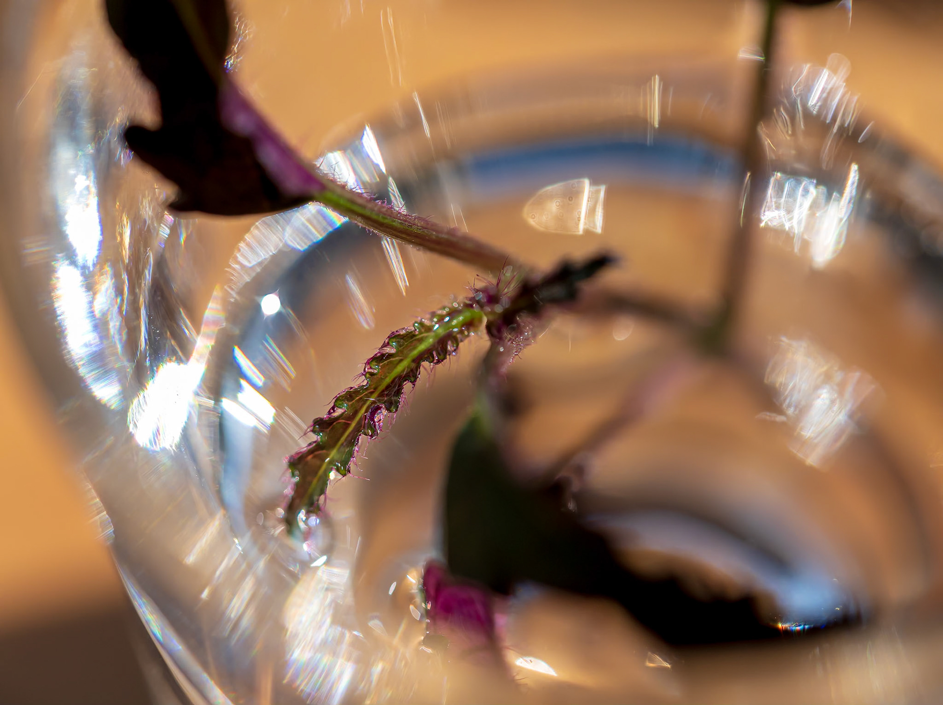 20419025 Water Plant