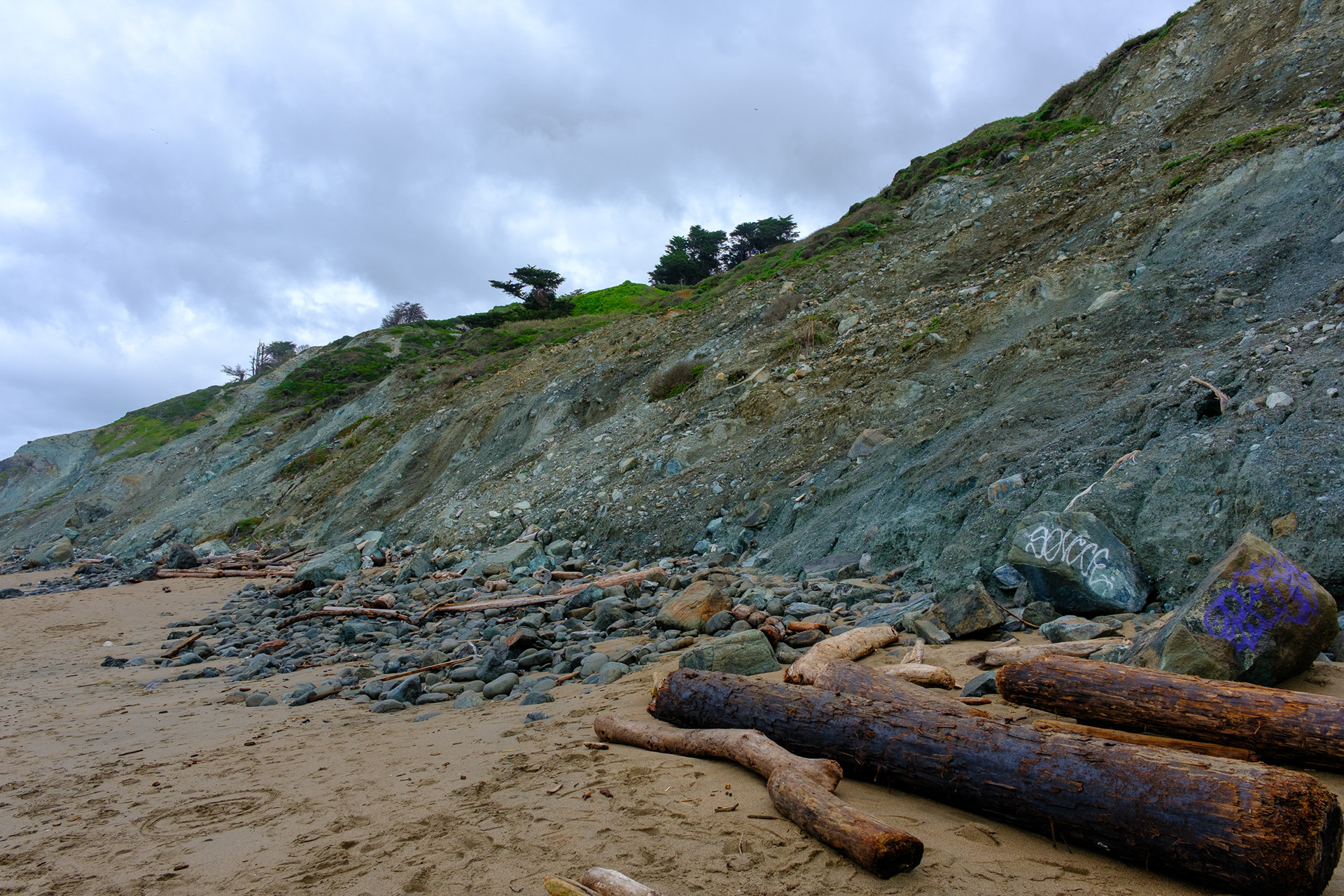 260214-647 Looking Up from Marshall's Beach