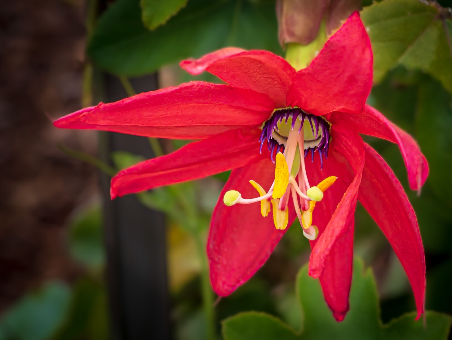 19516129 Sidewalk Sight