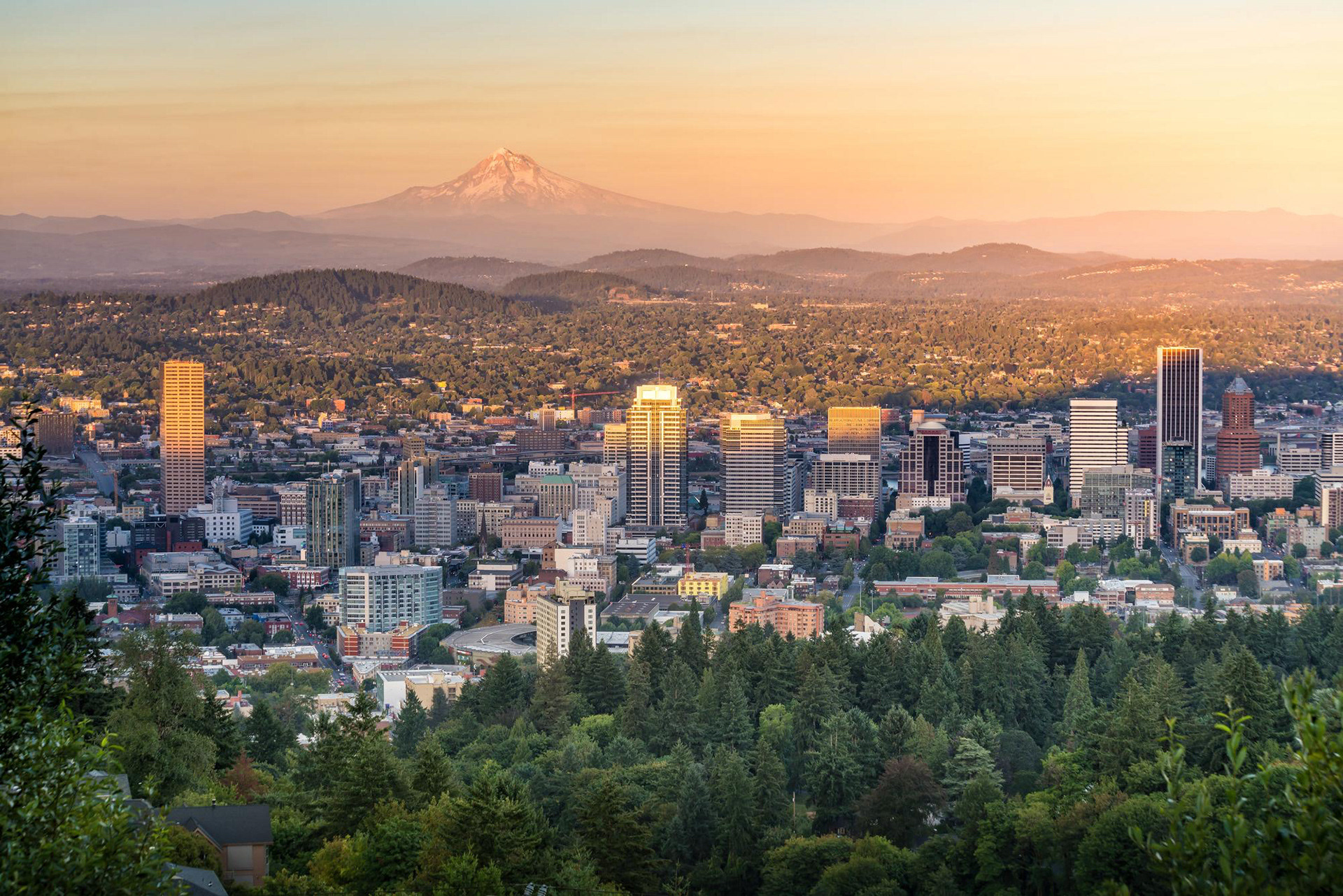 View of downtown and Mt. Hood from the hills.