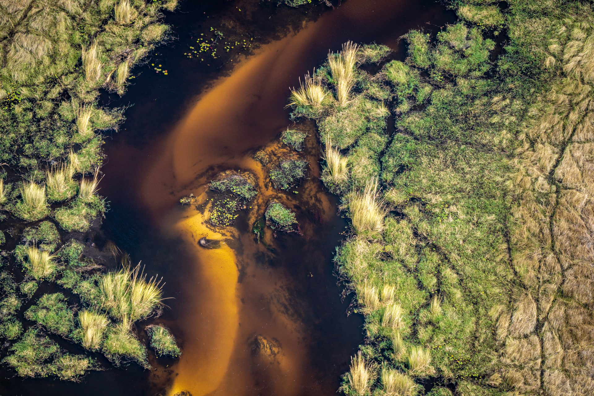 Okavango Delta, Botswana