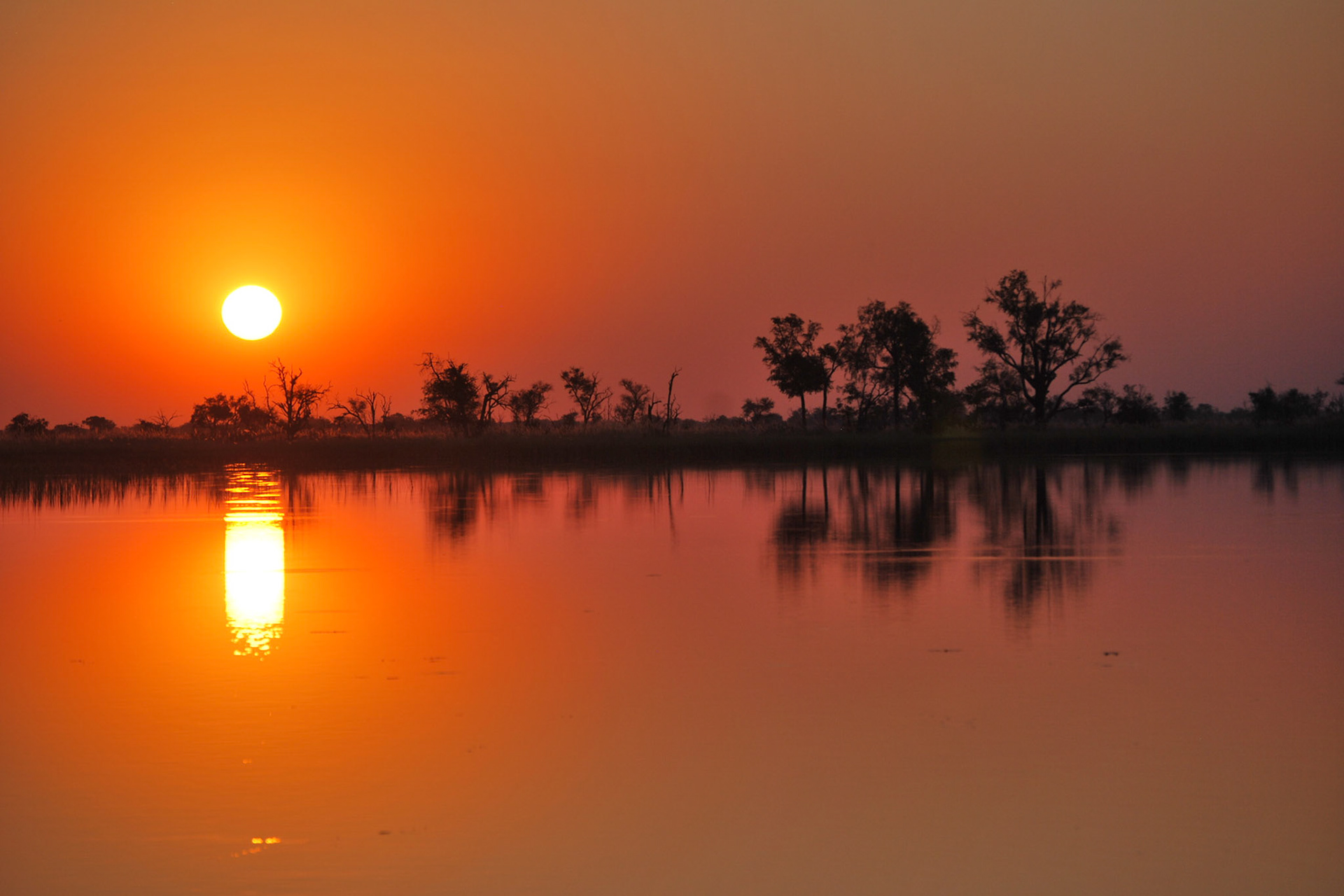 Moremi, Botswana