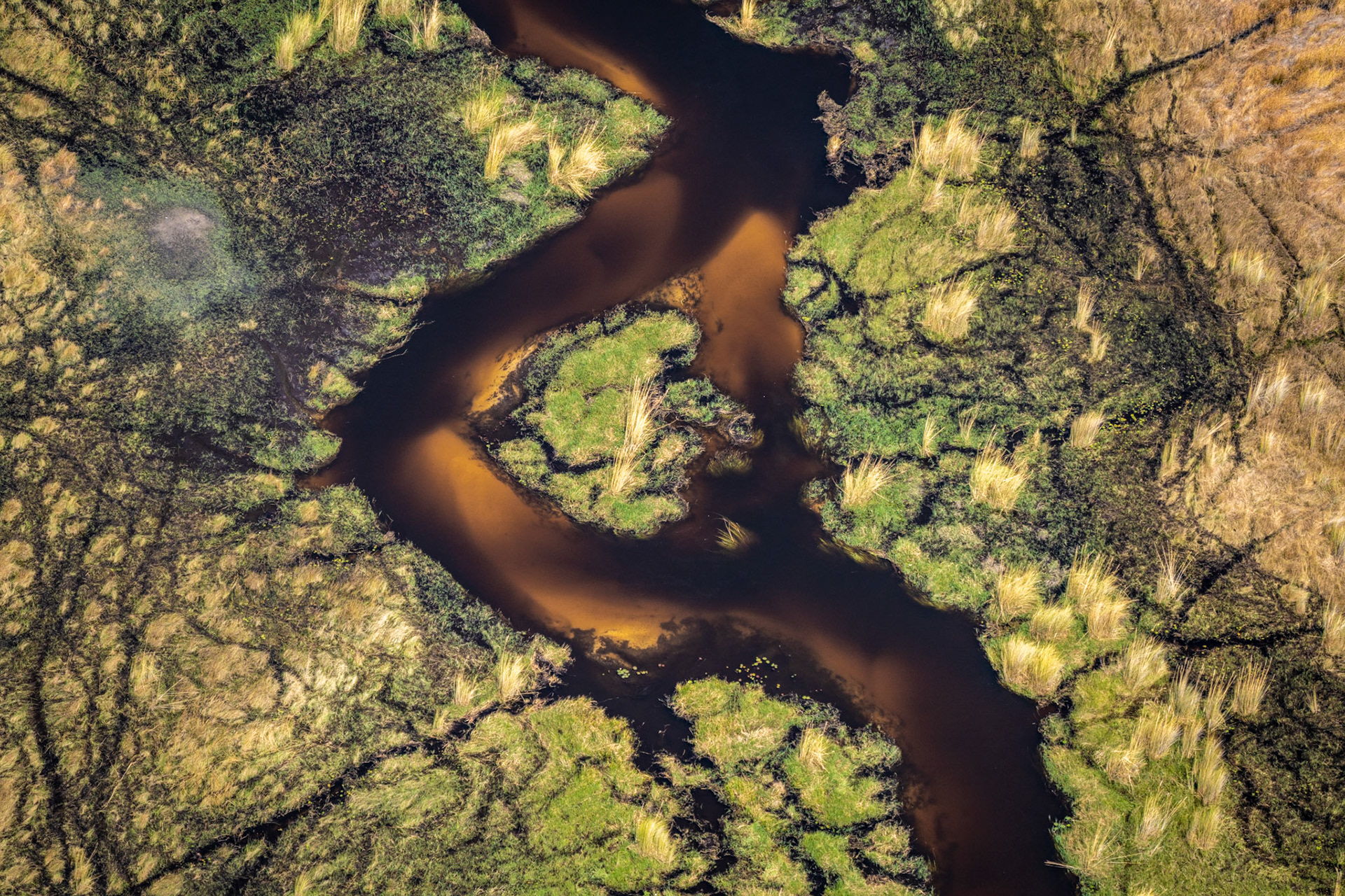 Okavango Delta, Botswana