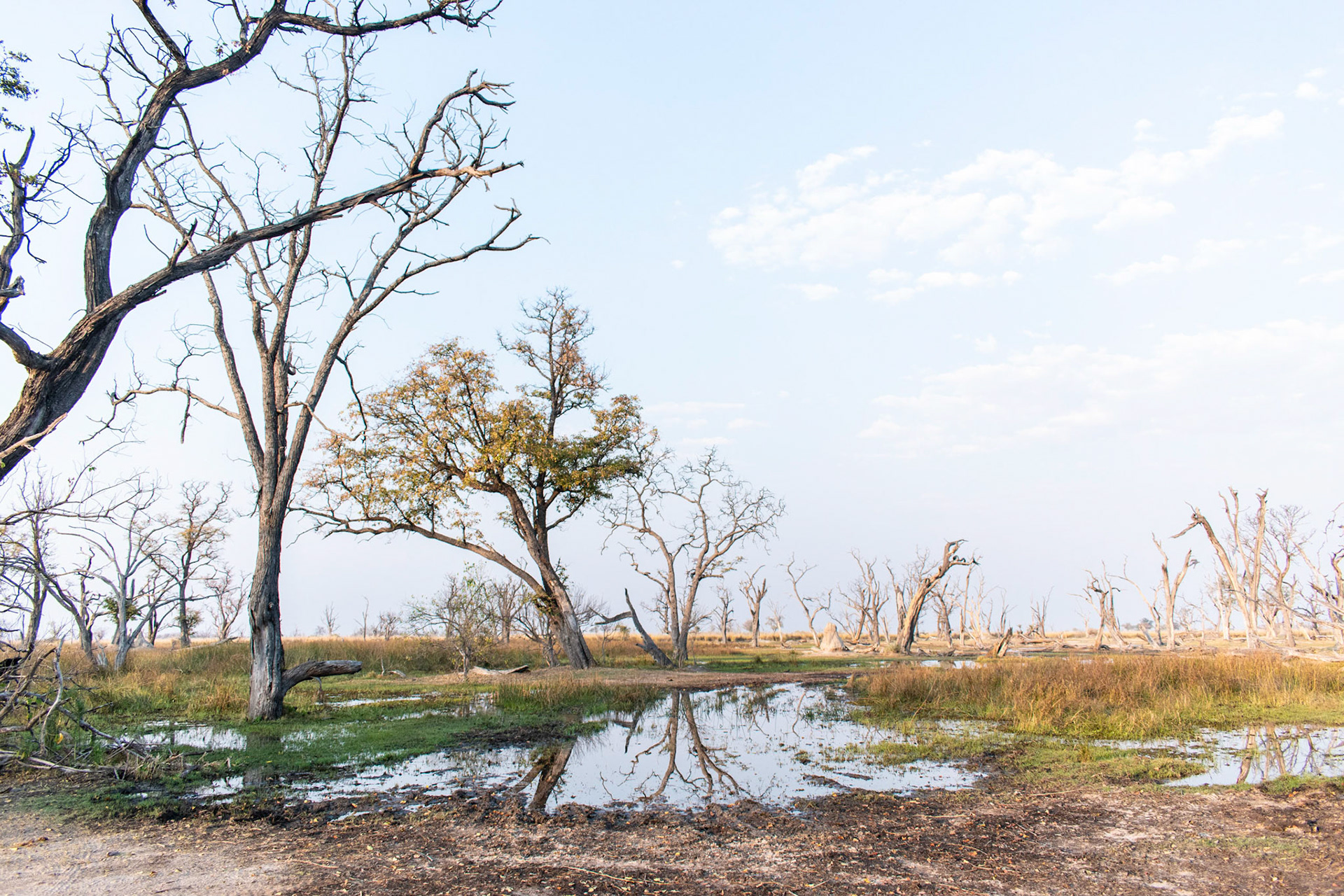 Paradise Pools, Botswana