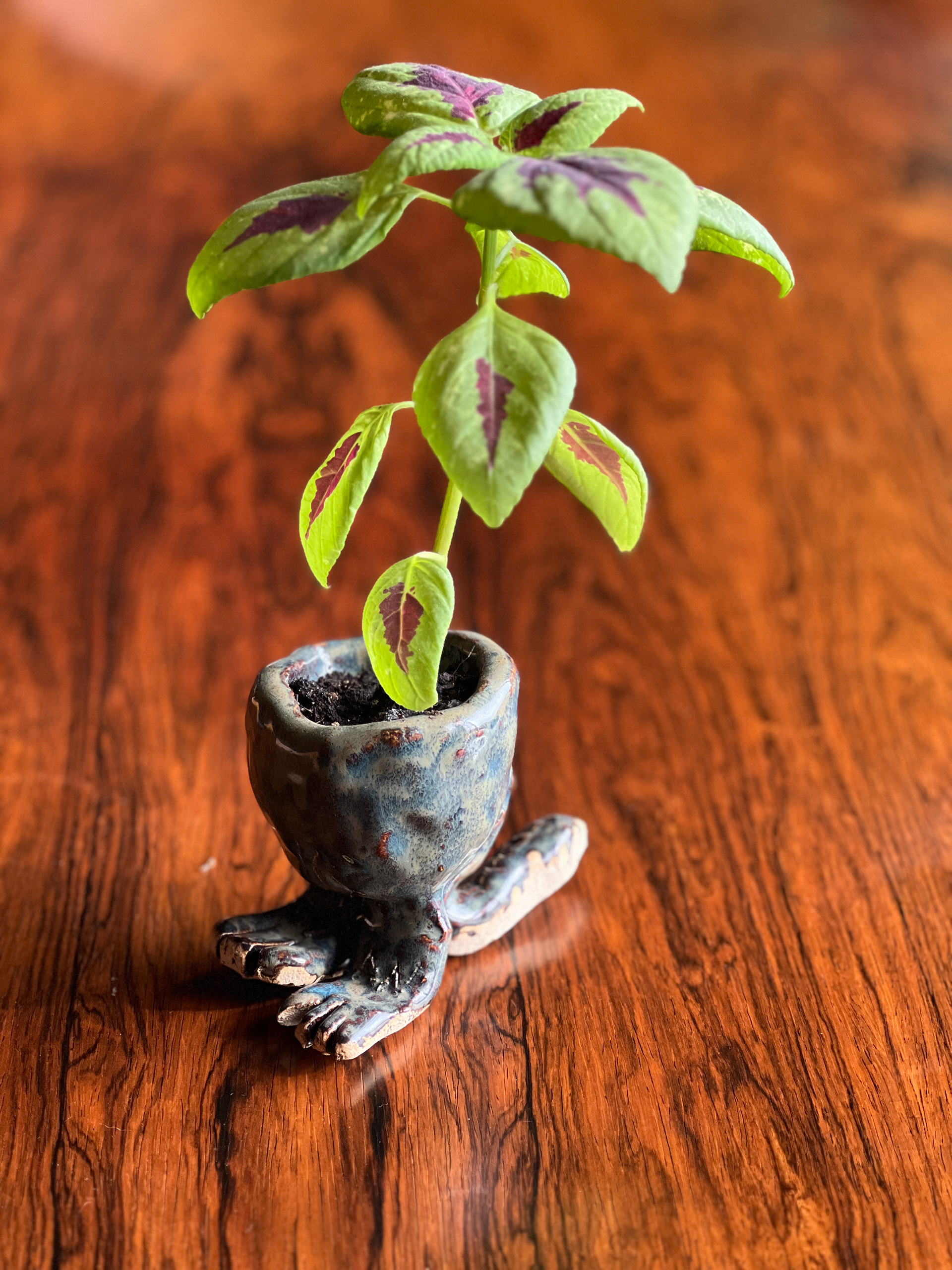 Plant holder with feet, ceramic,  2023