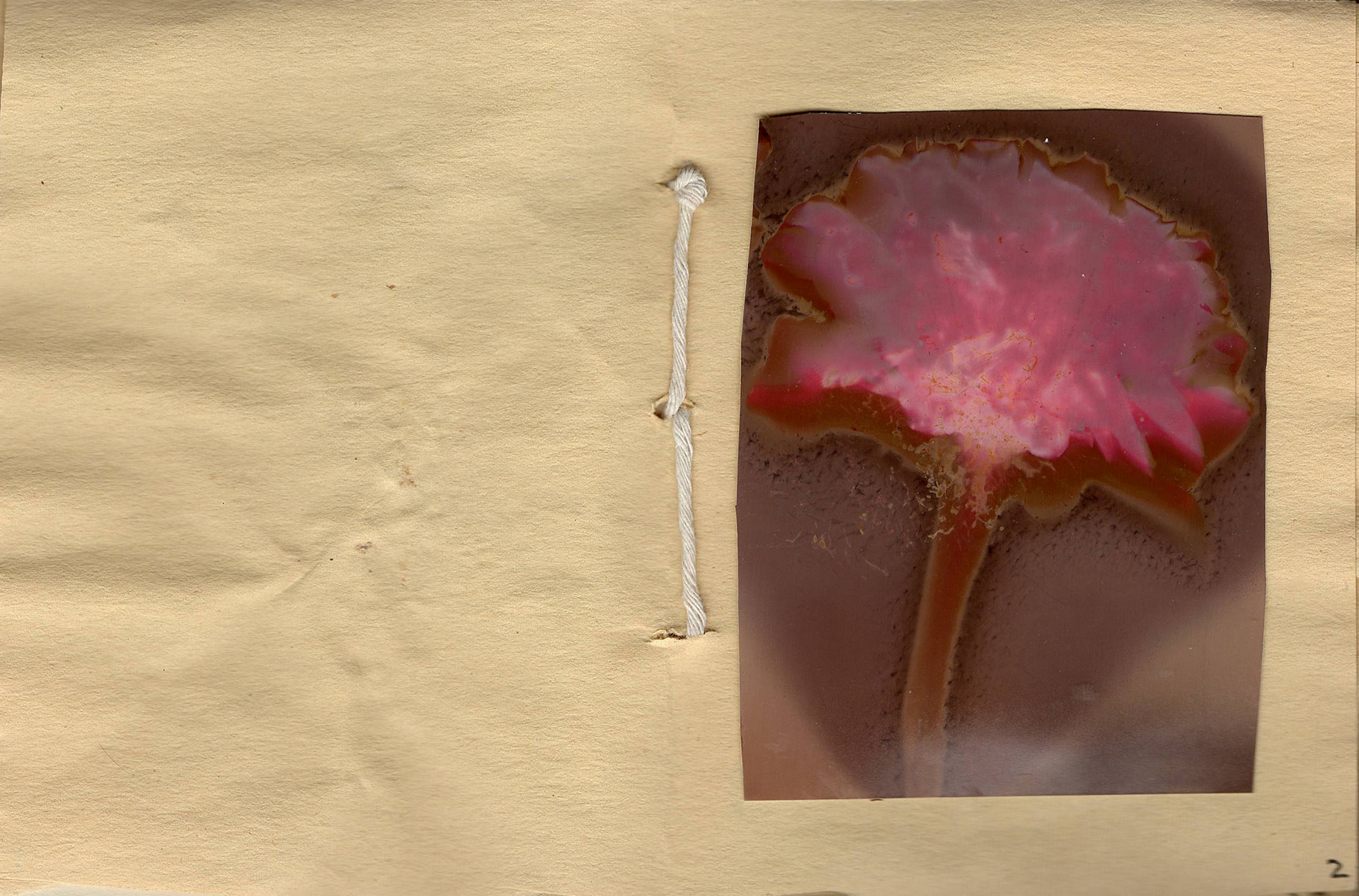 A Field Guide to DASAC