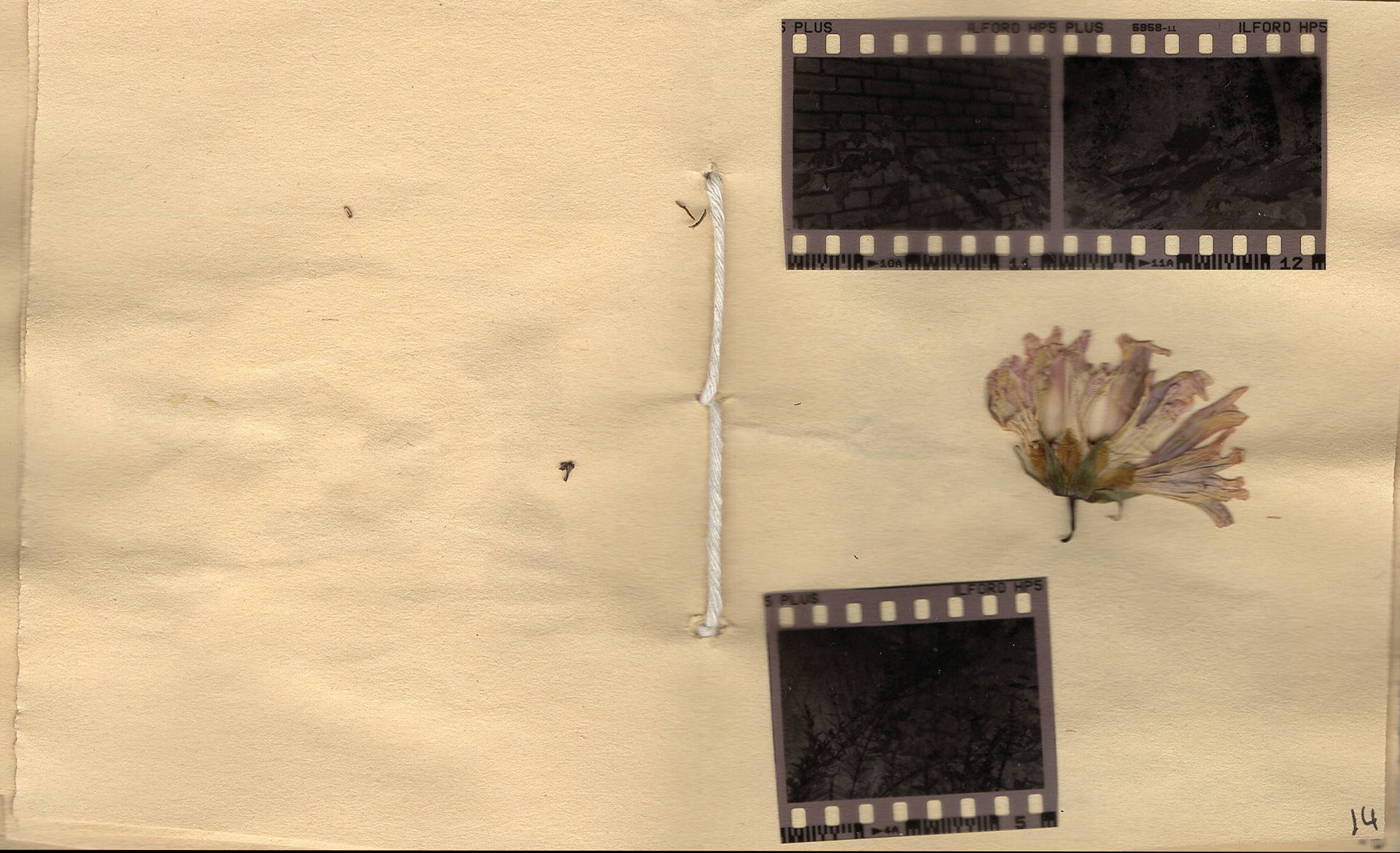 A Field Guide to DASAC