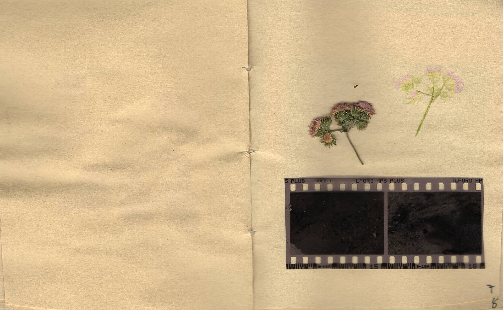 A Field Guide to DASAC