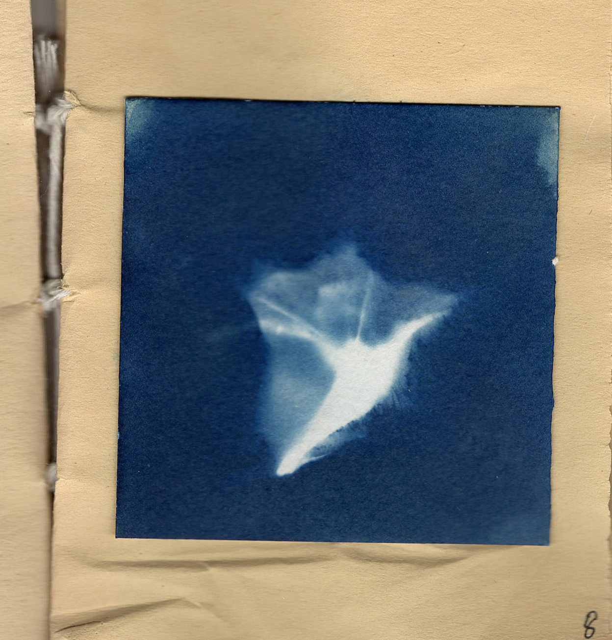 A Field Guide to DASAC