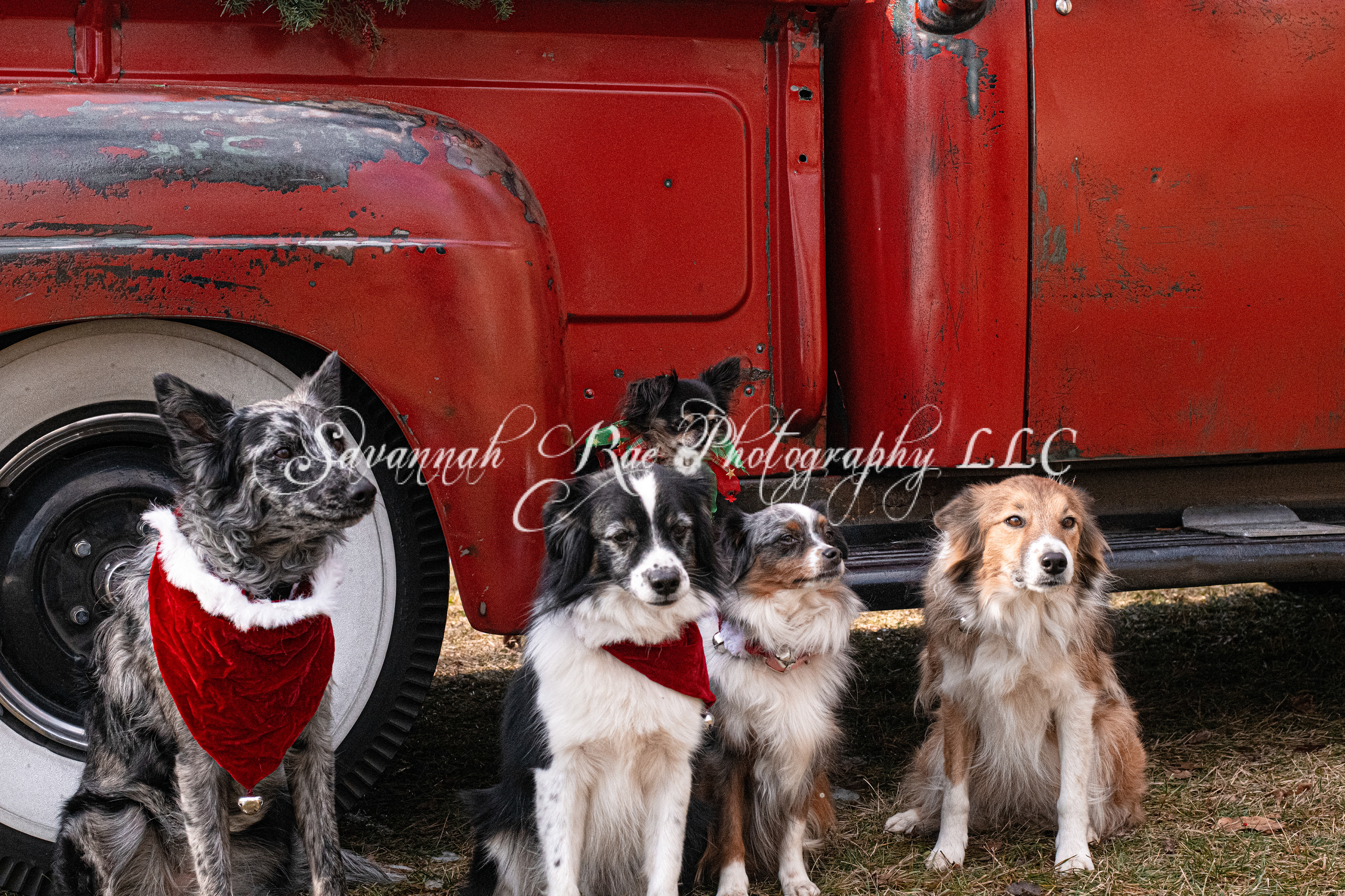 Red Truck Photo-6