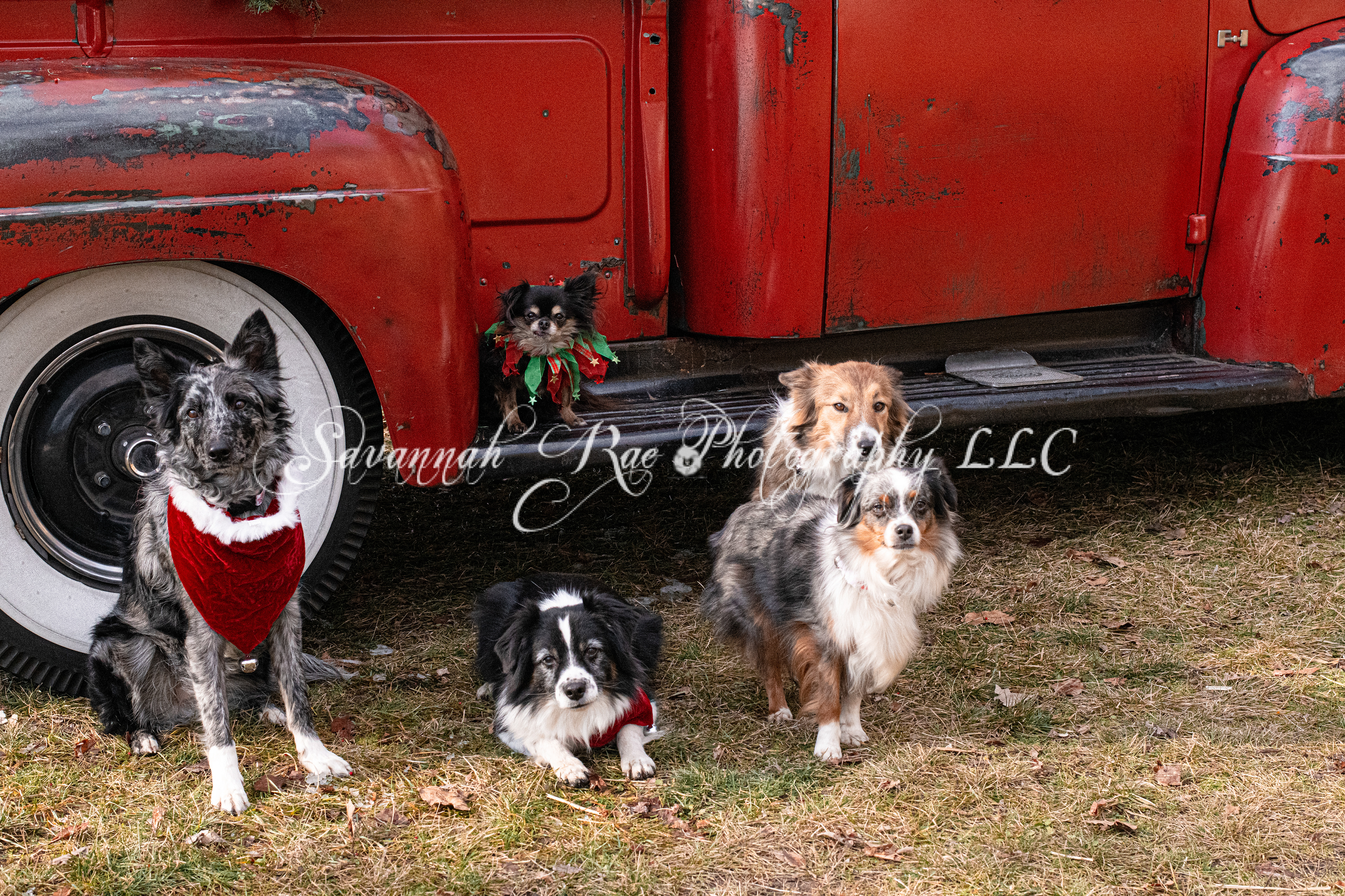 Red Truck Photo-7