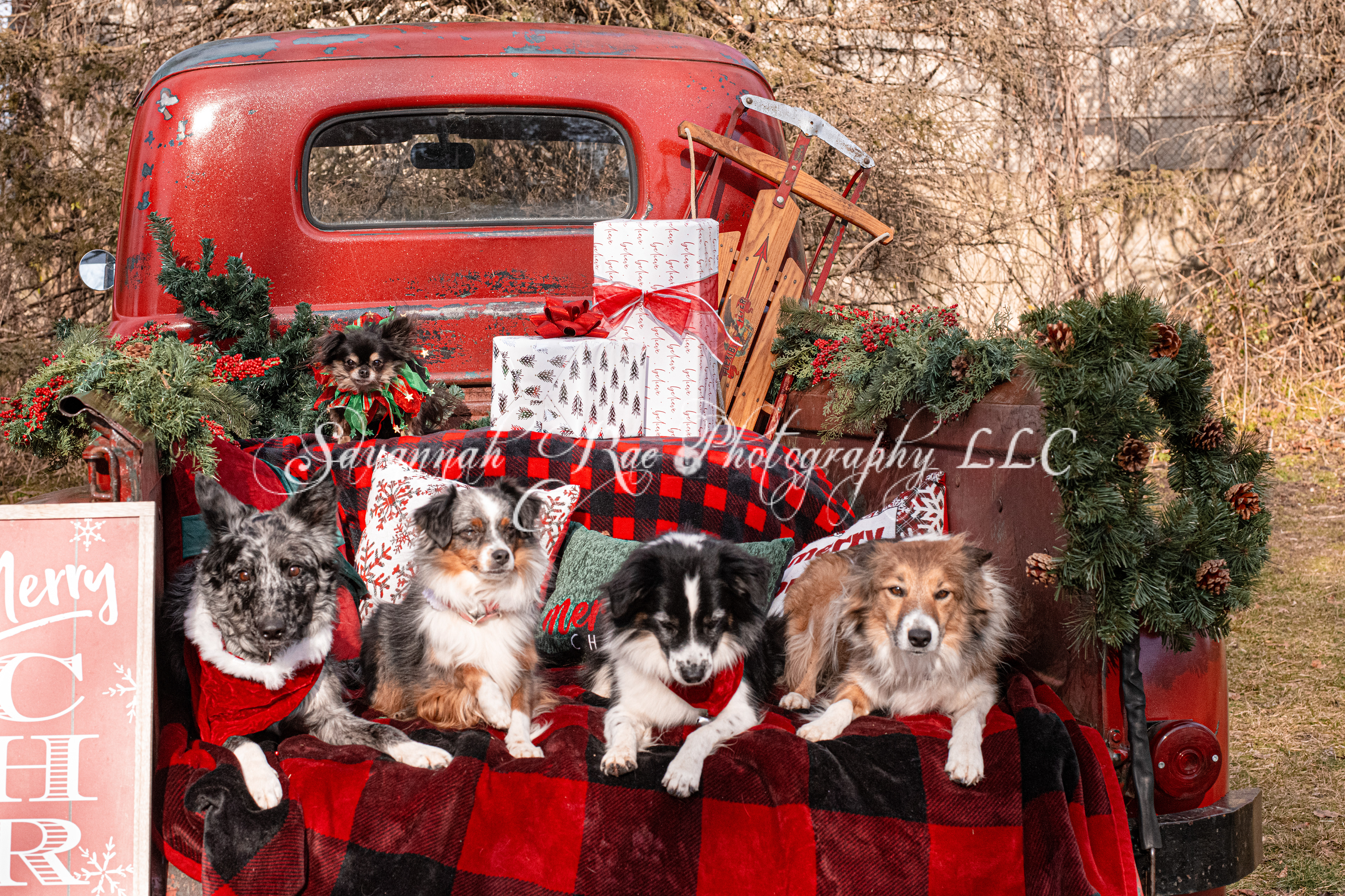 Red Truck Photo-2