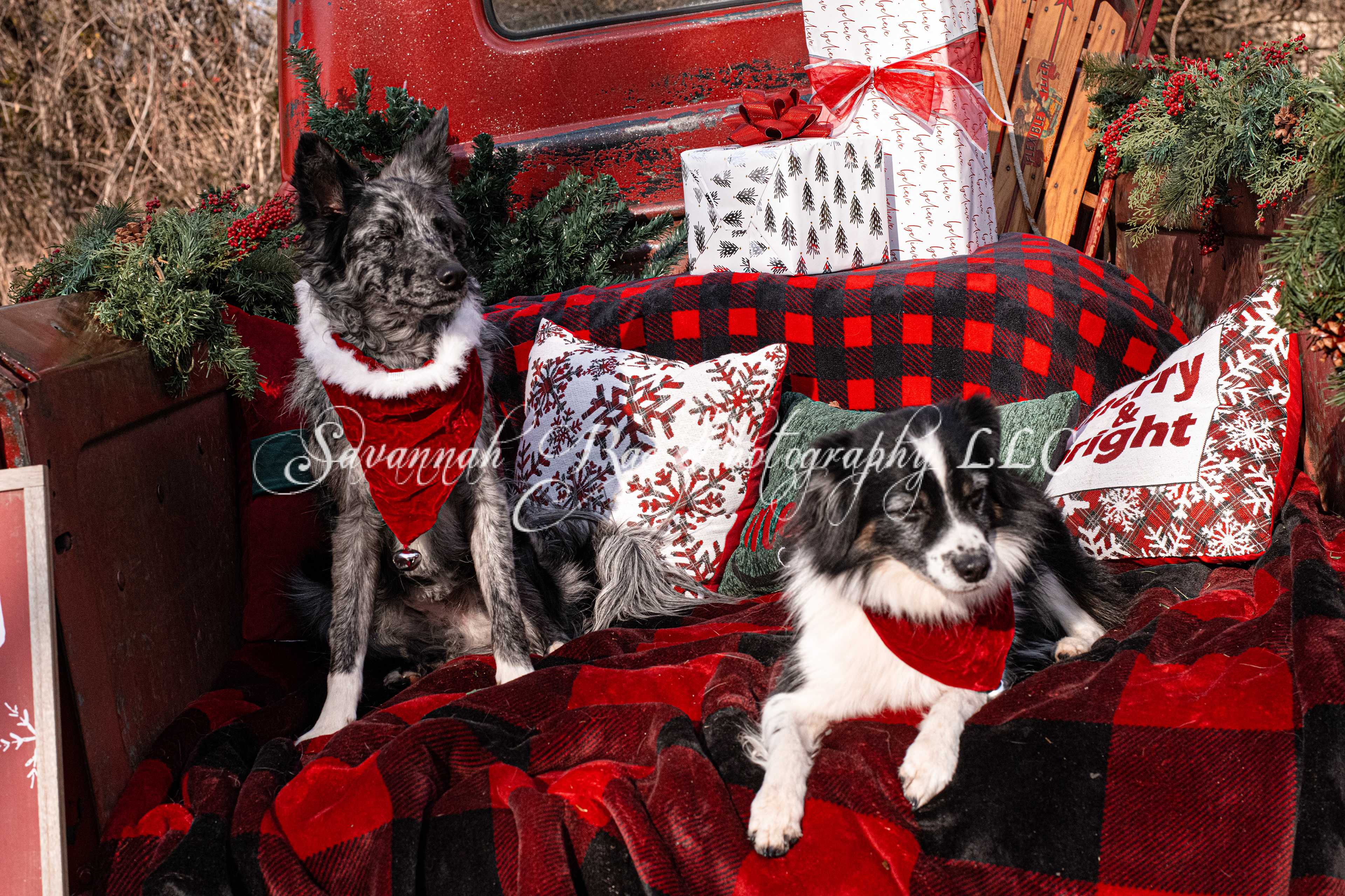 Red Truck Photo-13