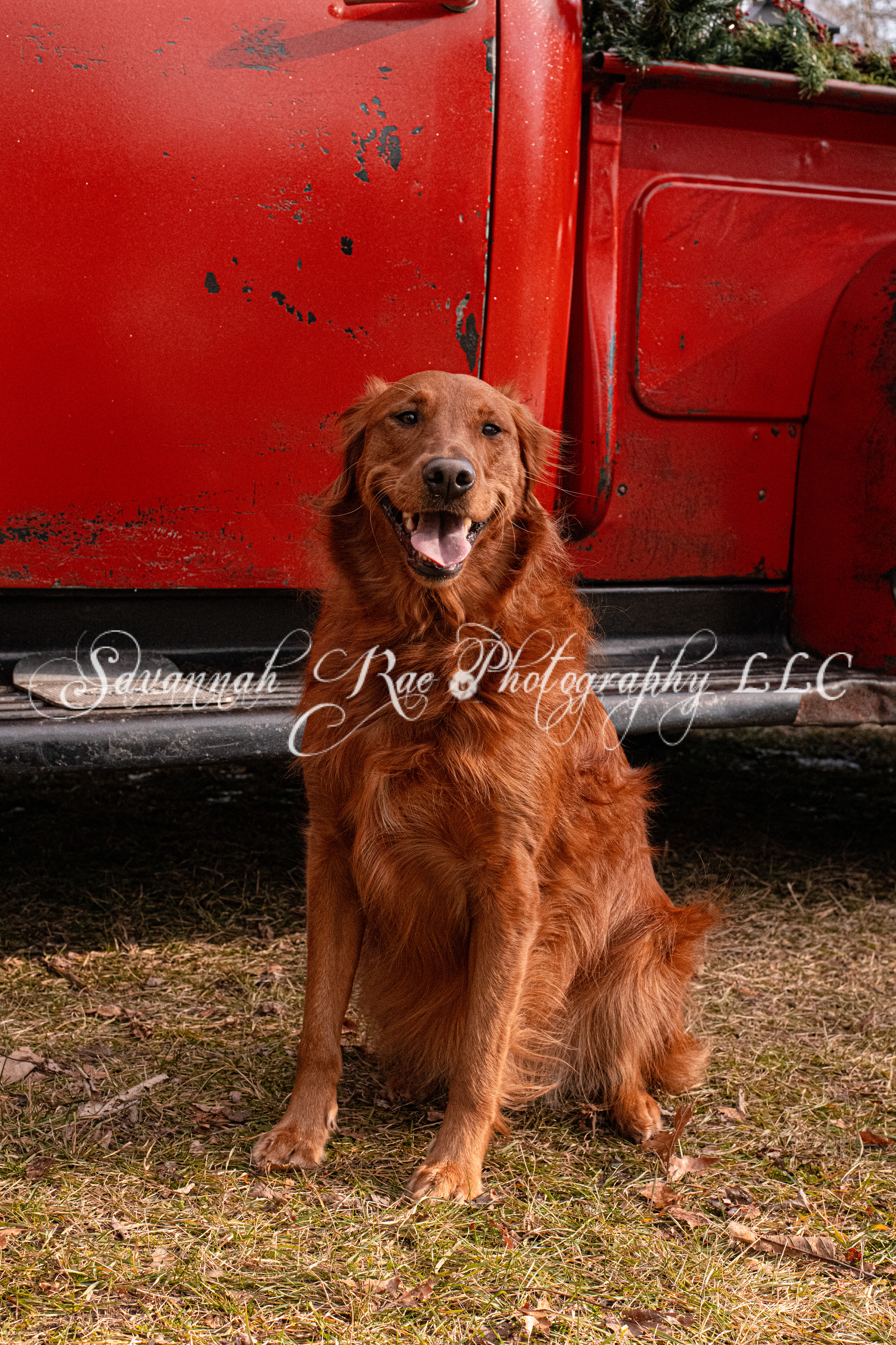 Red Truck Photo-17