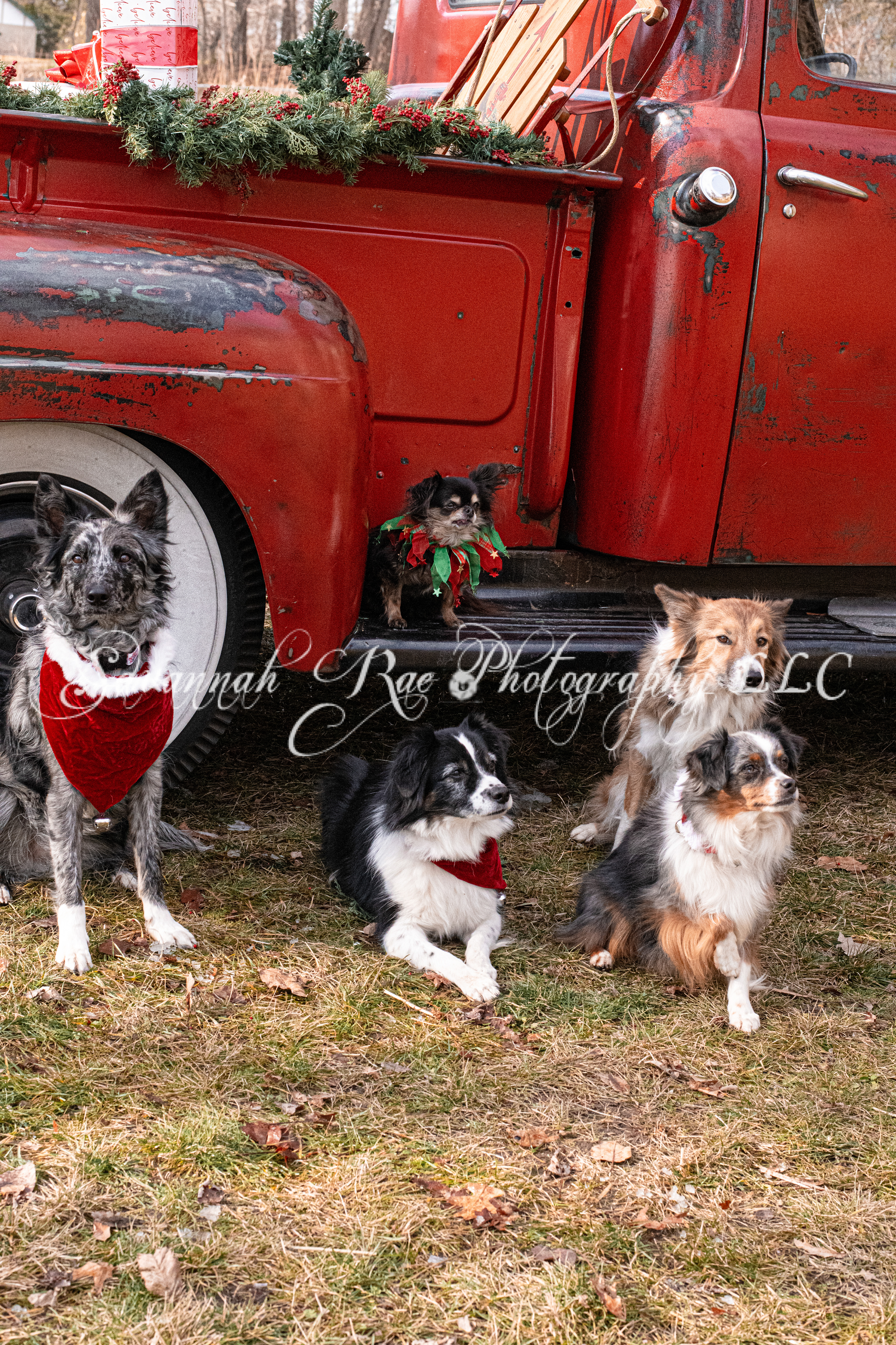 Red Truck Photo-8