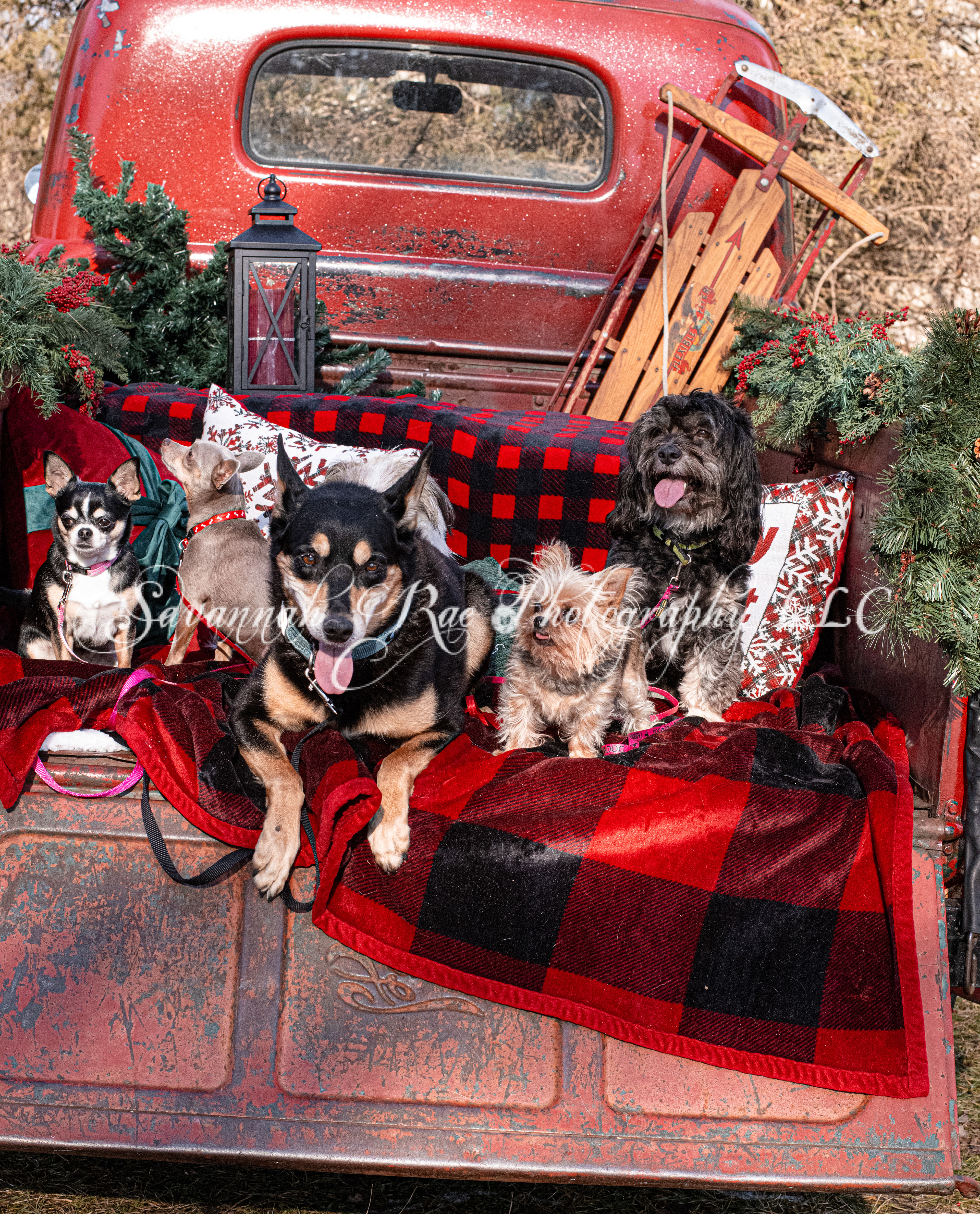 Red Truck Photo-3