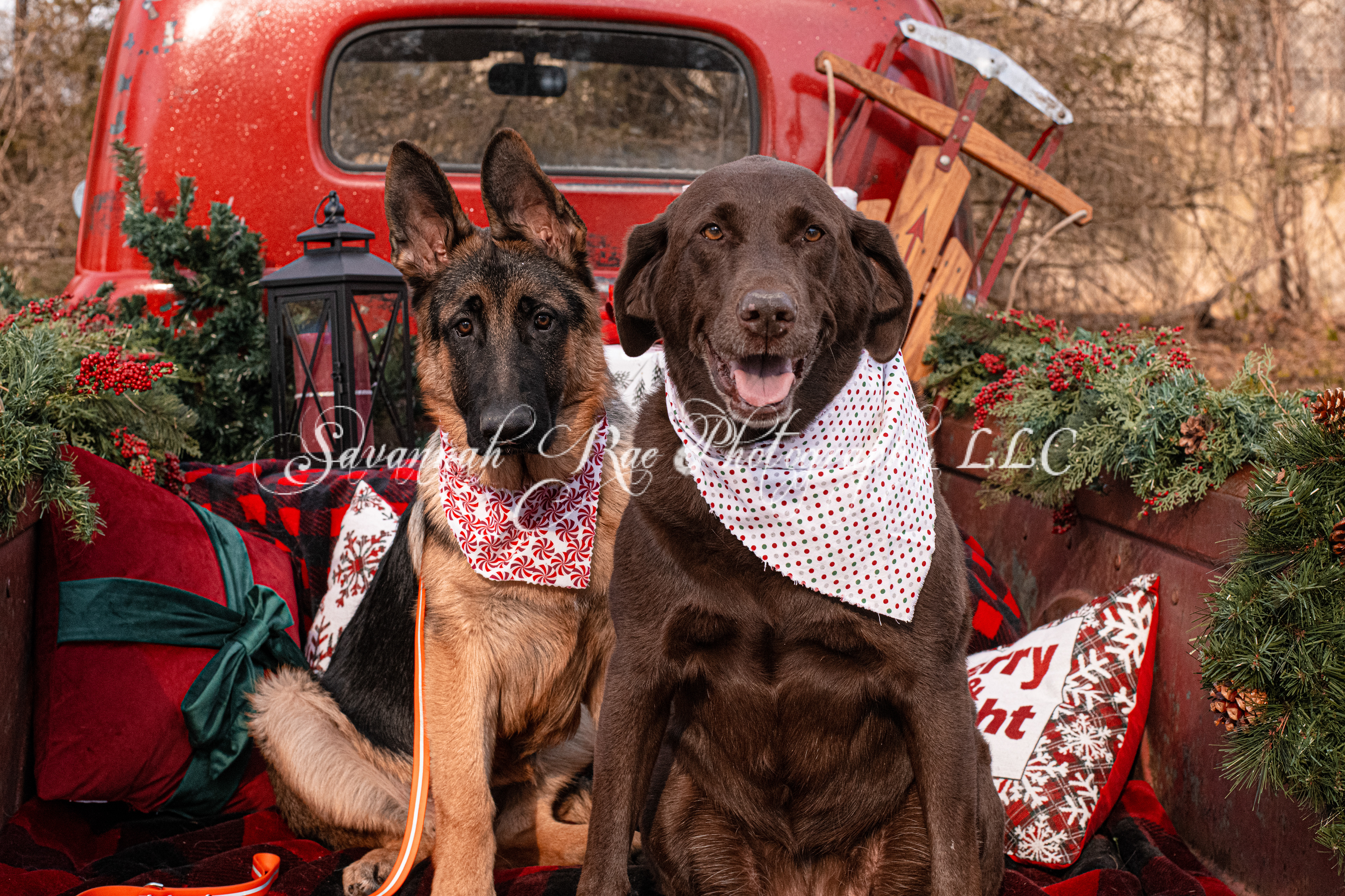 Red Truck Photo-2