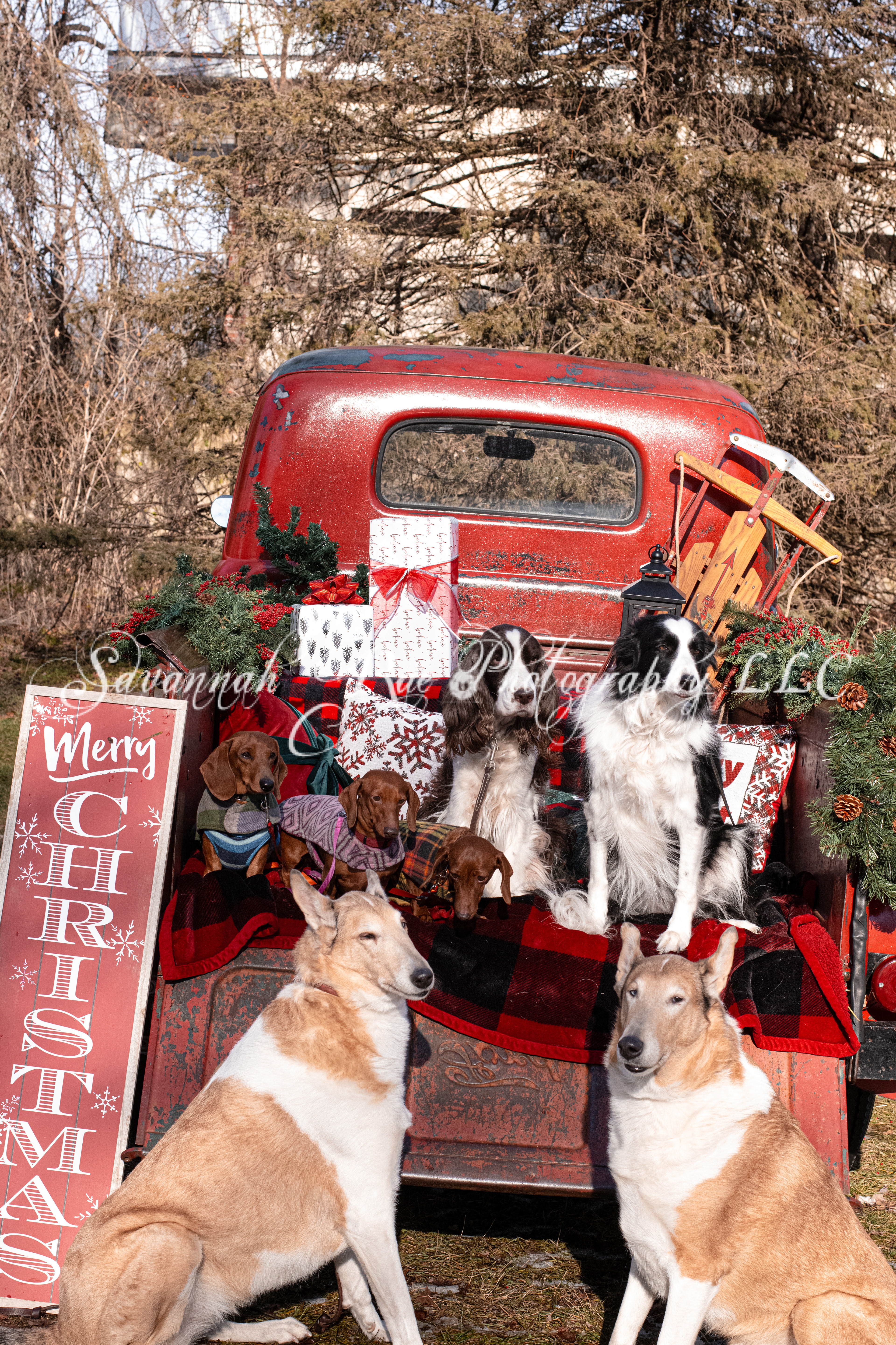Red Truck Photo-6