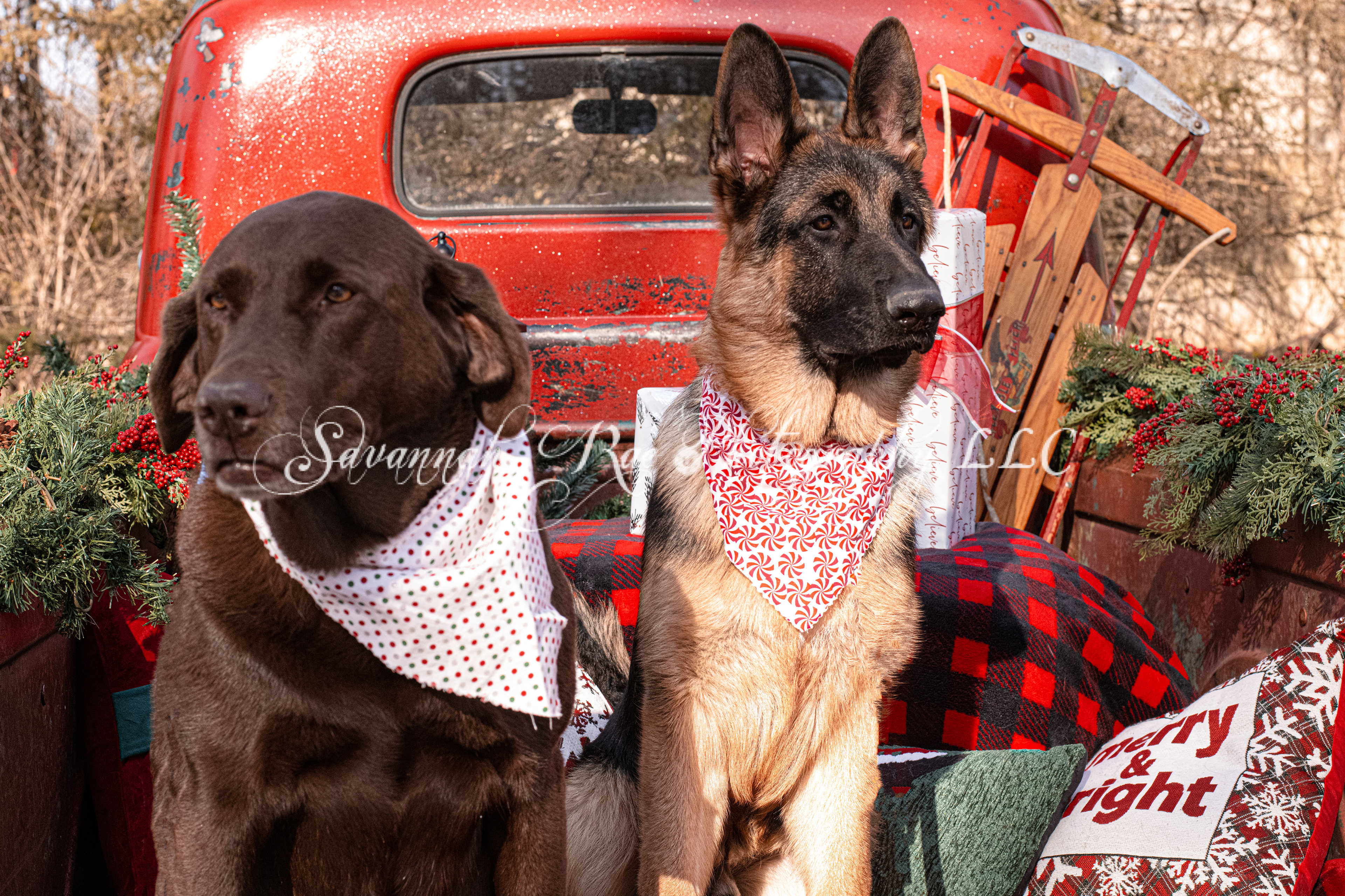 Red Truck #8