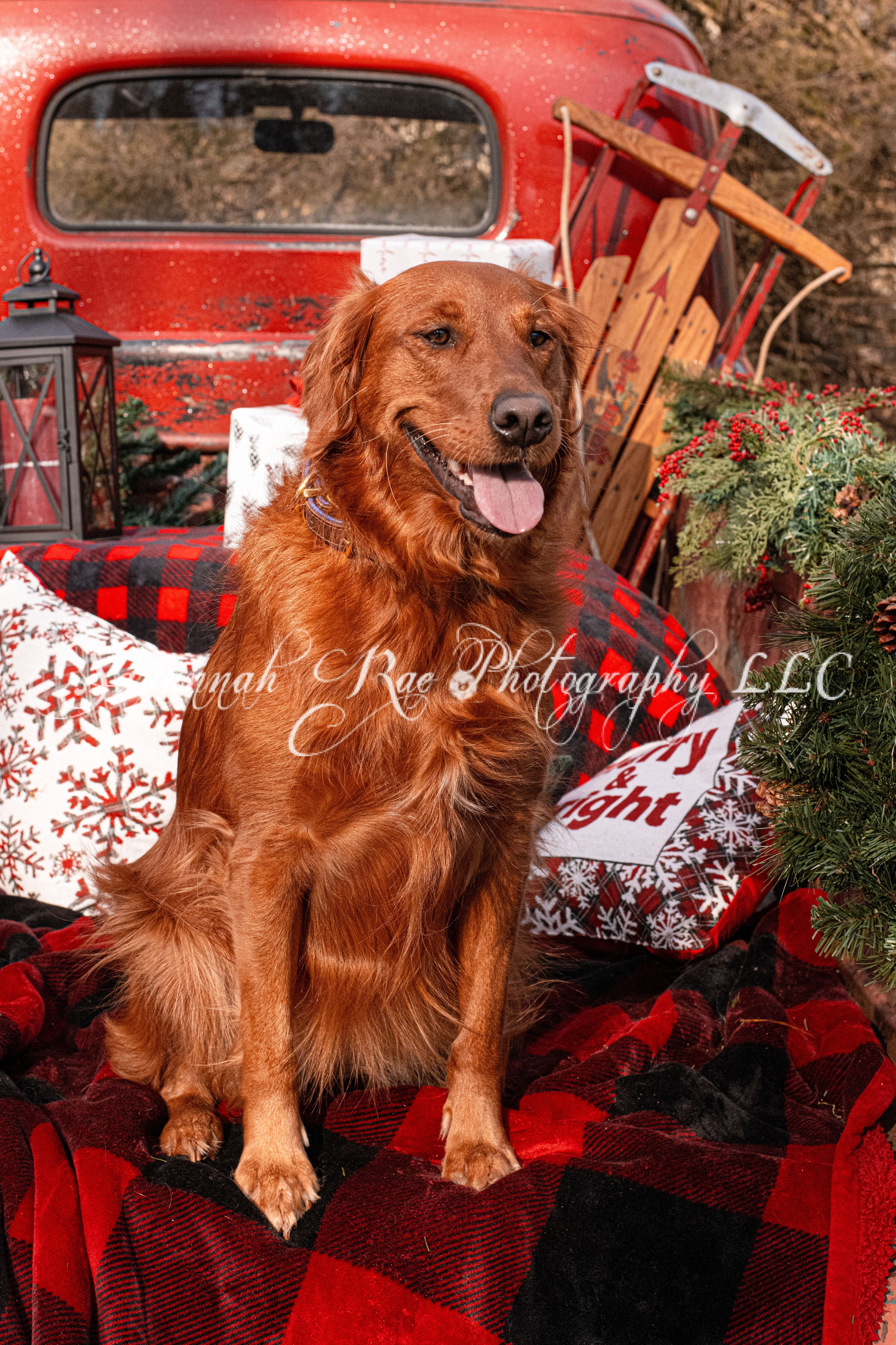 Red Truck Photo-7