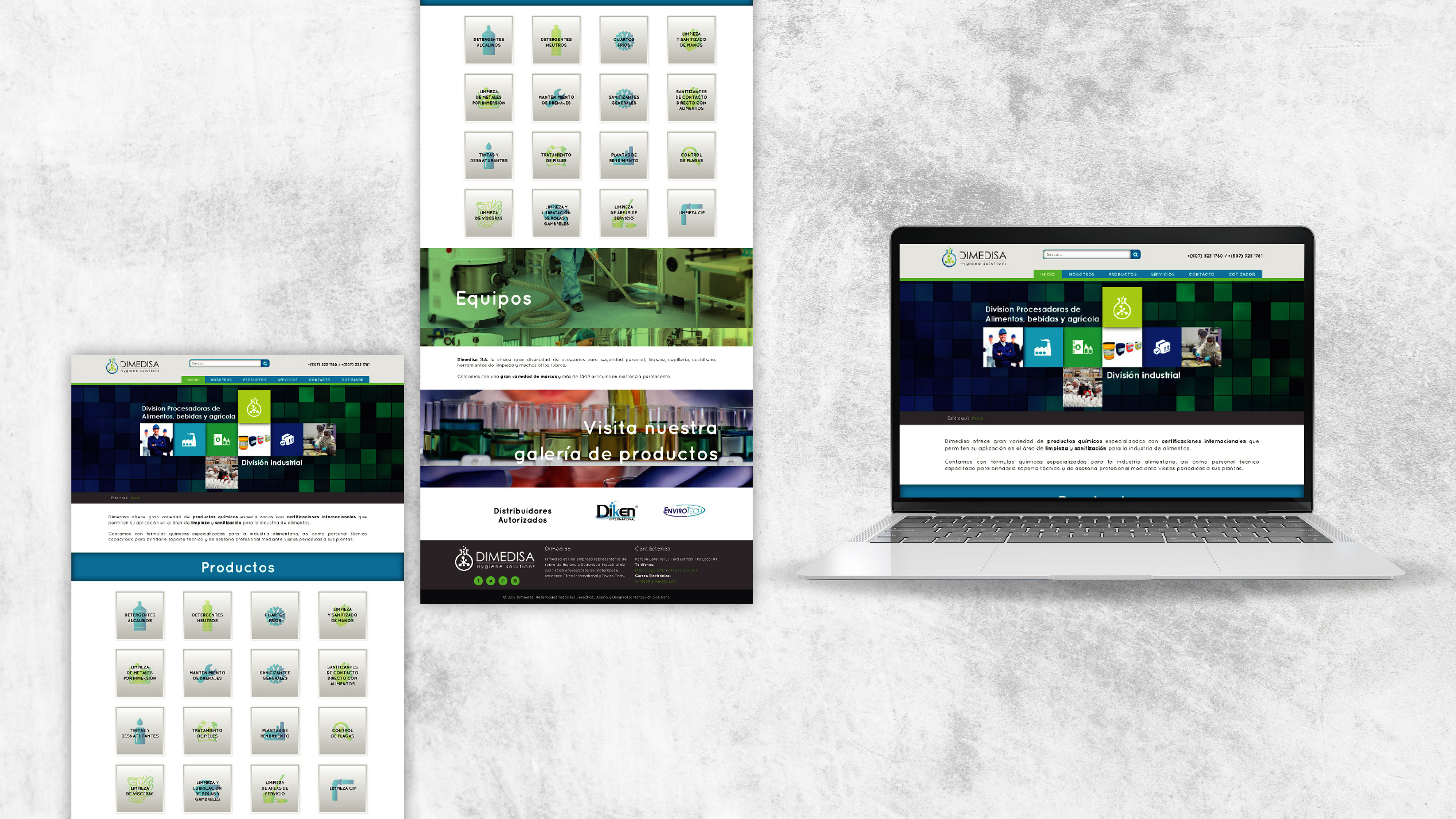 Diseño web para Dimedisa