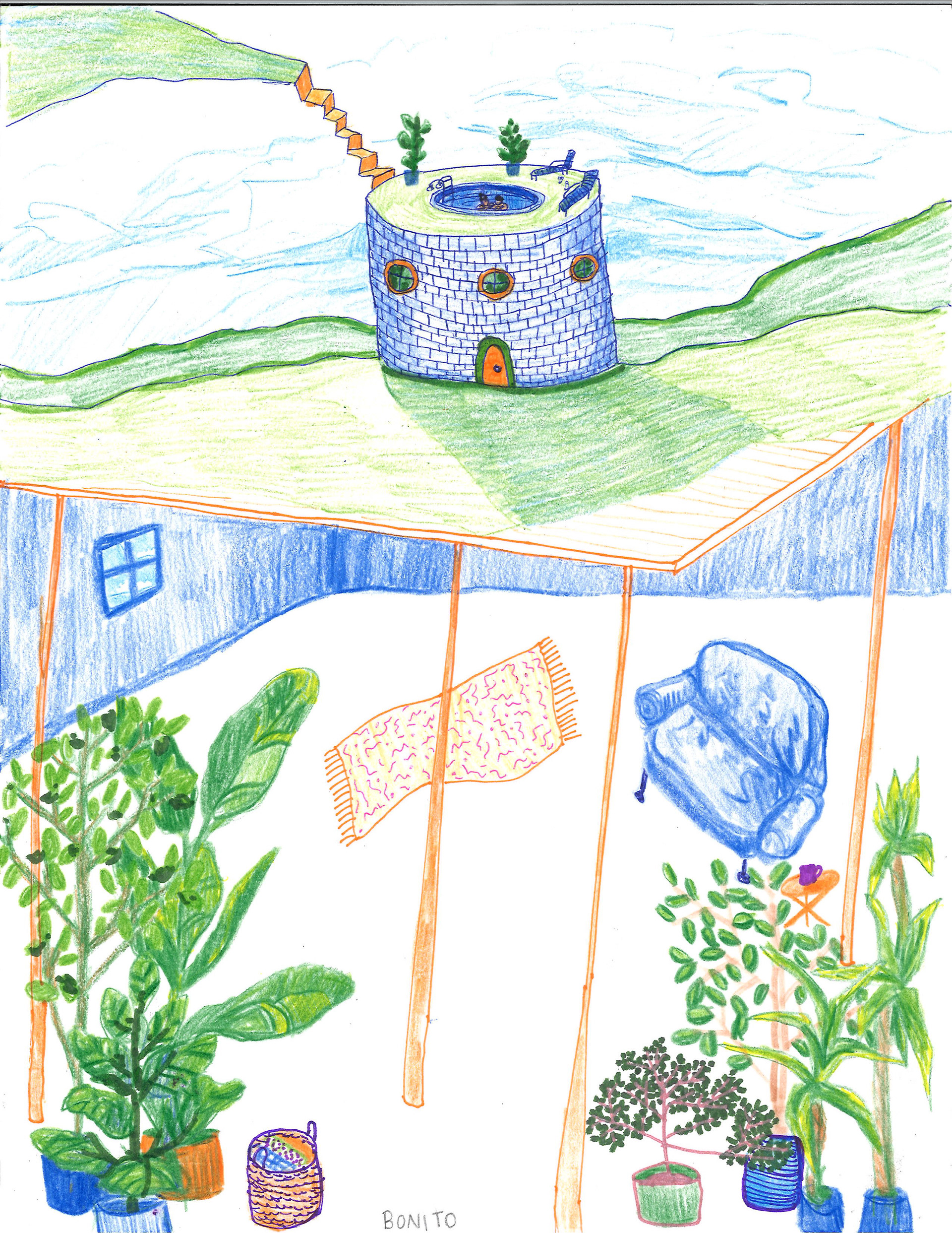 bonito, 2020, colored pencil and ink on paper, 8.5"x11"