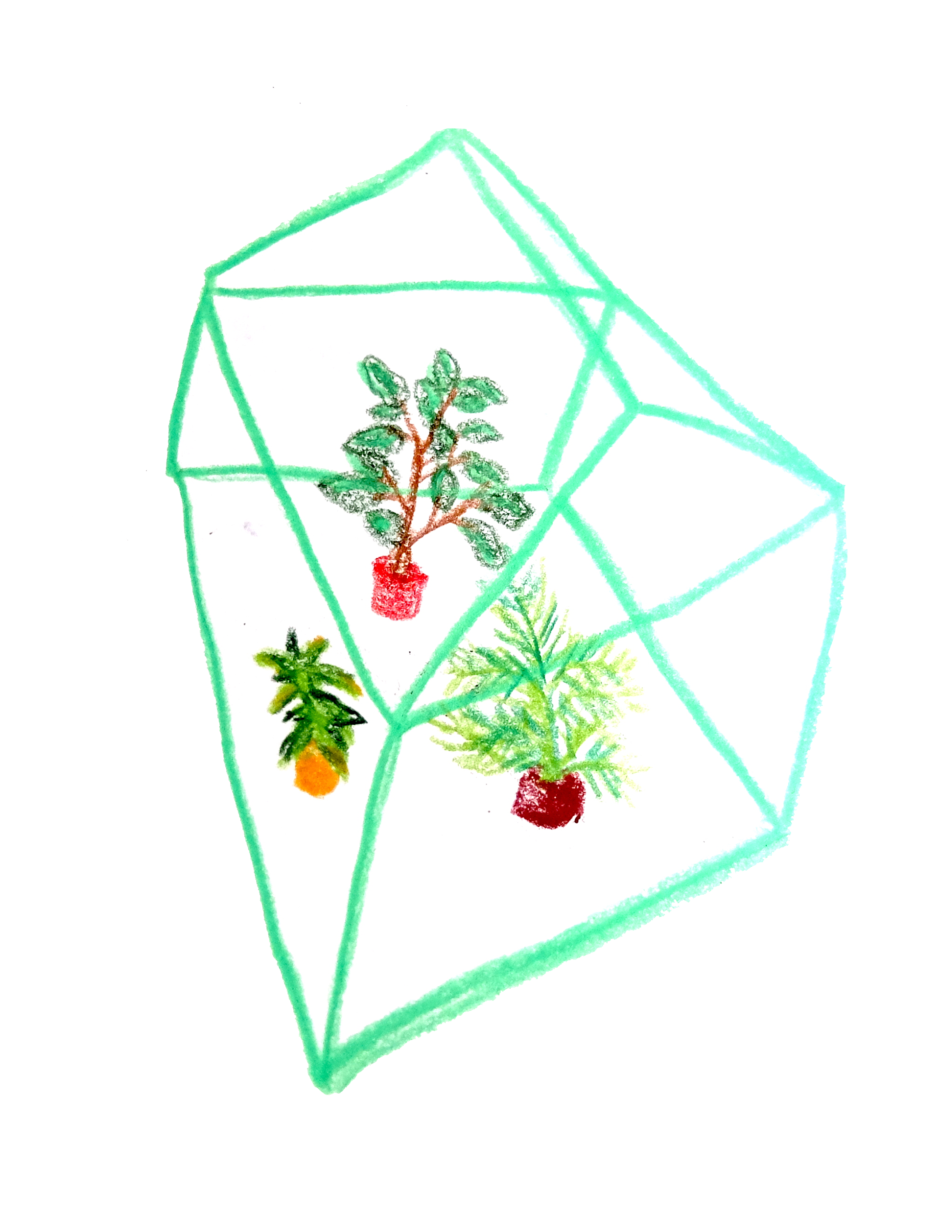 greenhouse, 2020