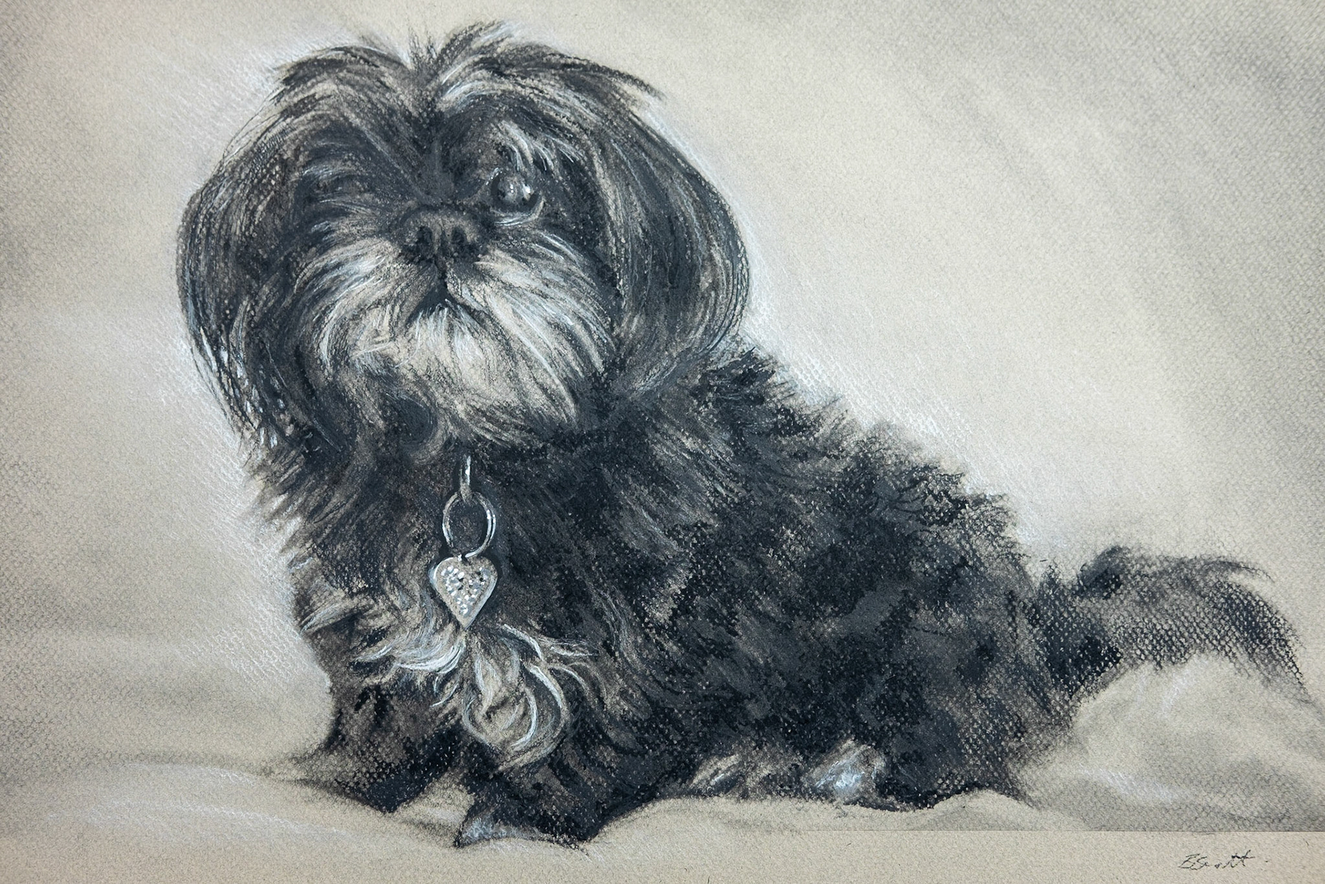 Charcoal