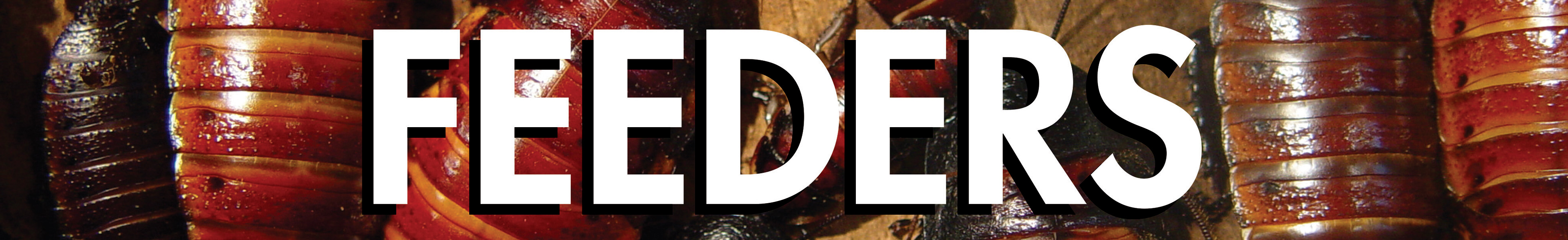 Feeders environmental signage for store