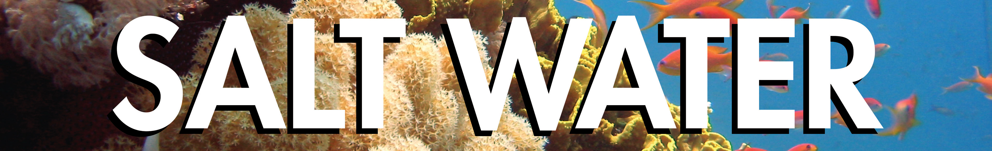 Salt water environmental signage for store