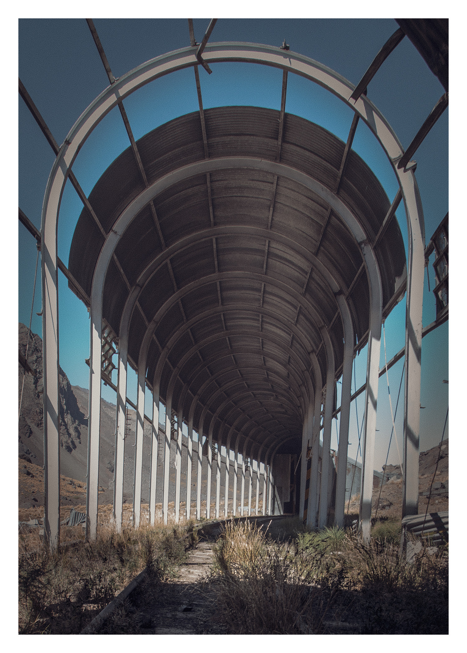 Tren
