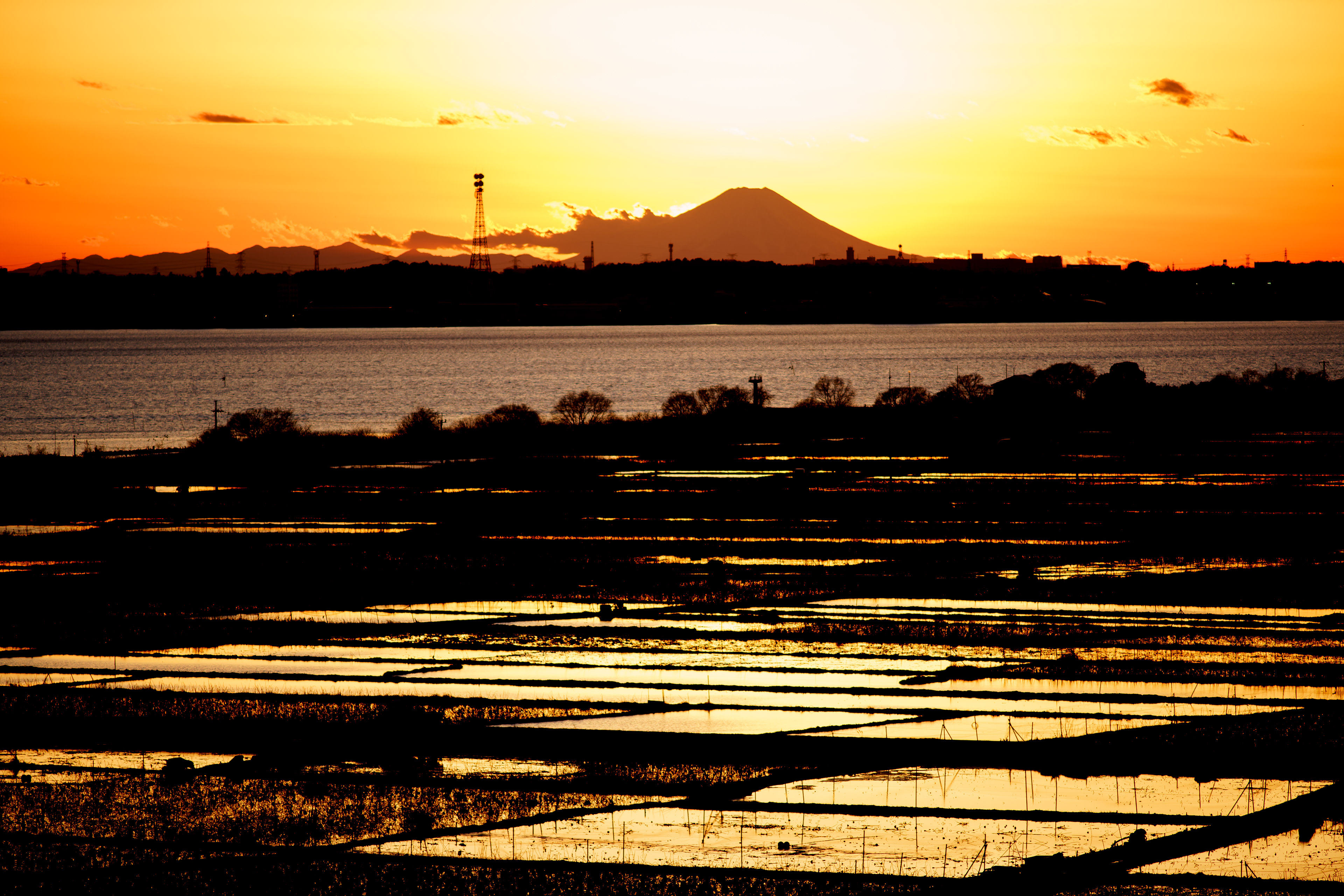 富士山と田んぼ