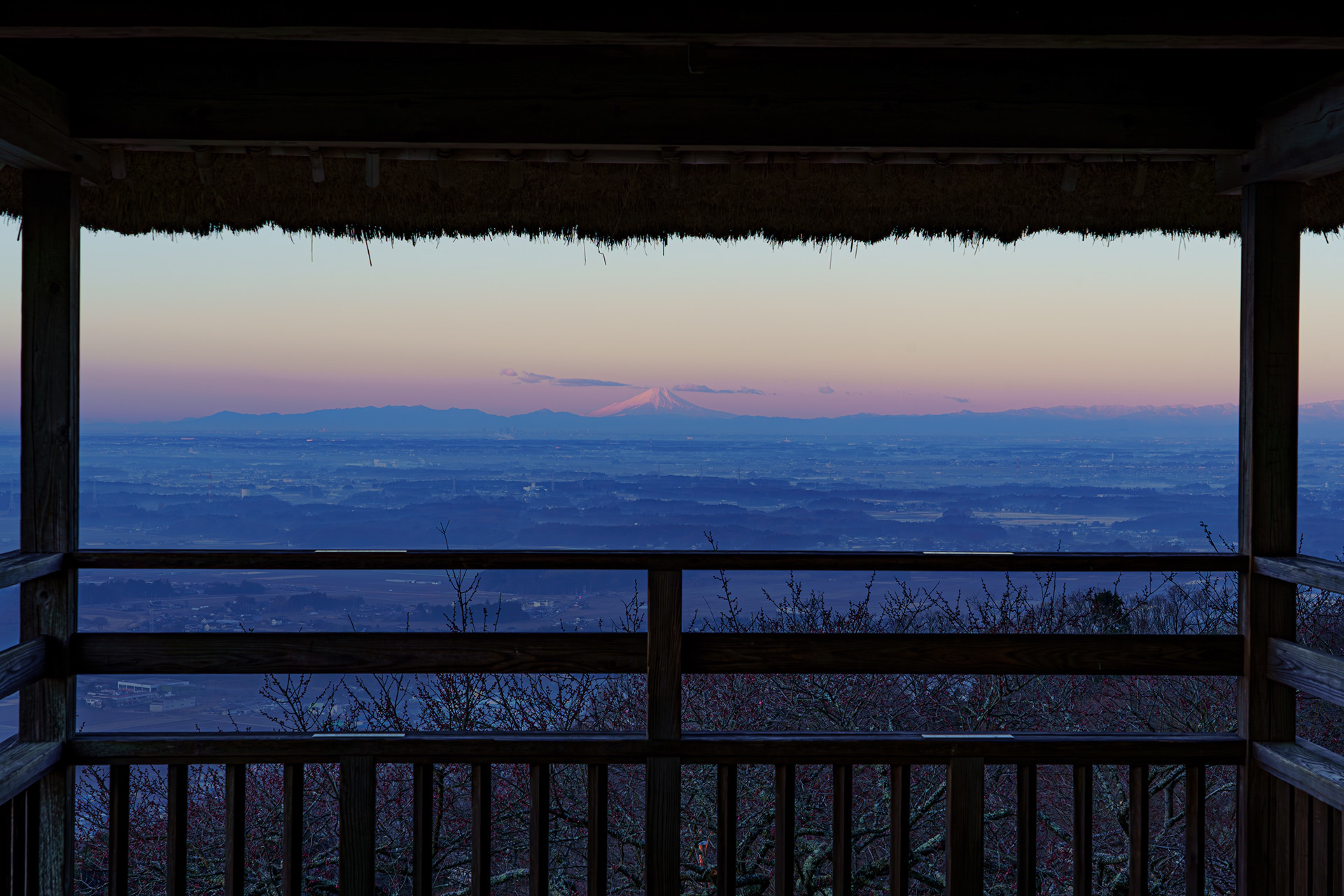 筑波山梅林から
