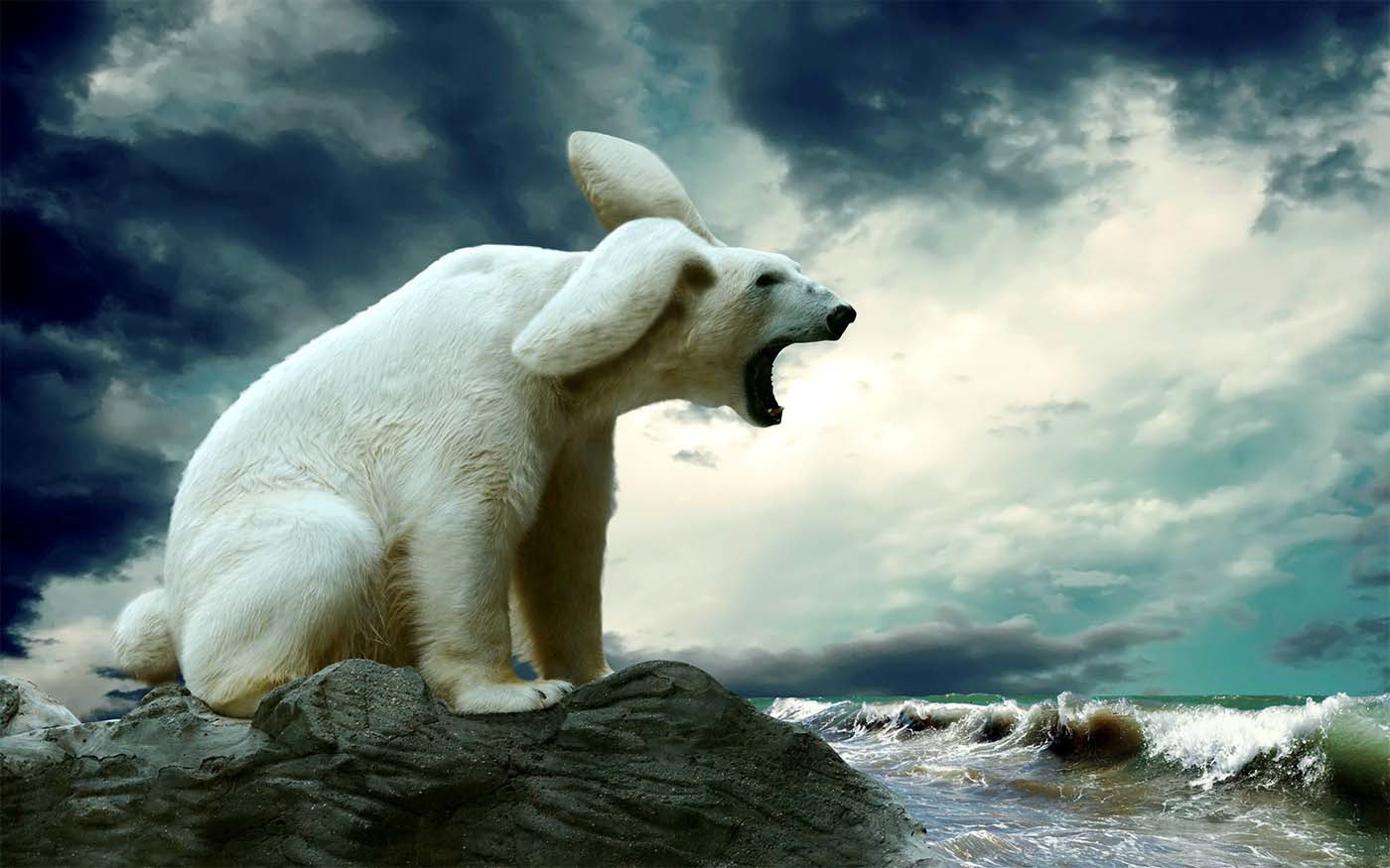 HJ Kim, 2nd Year Graphic Design