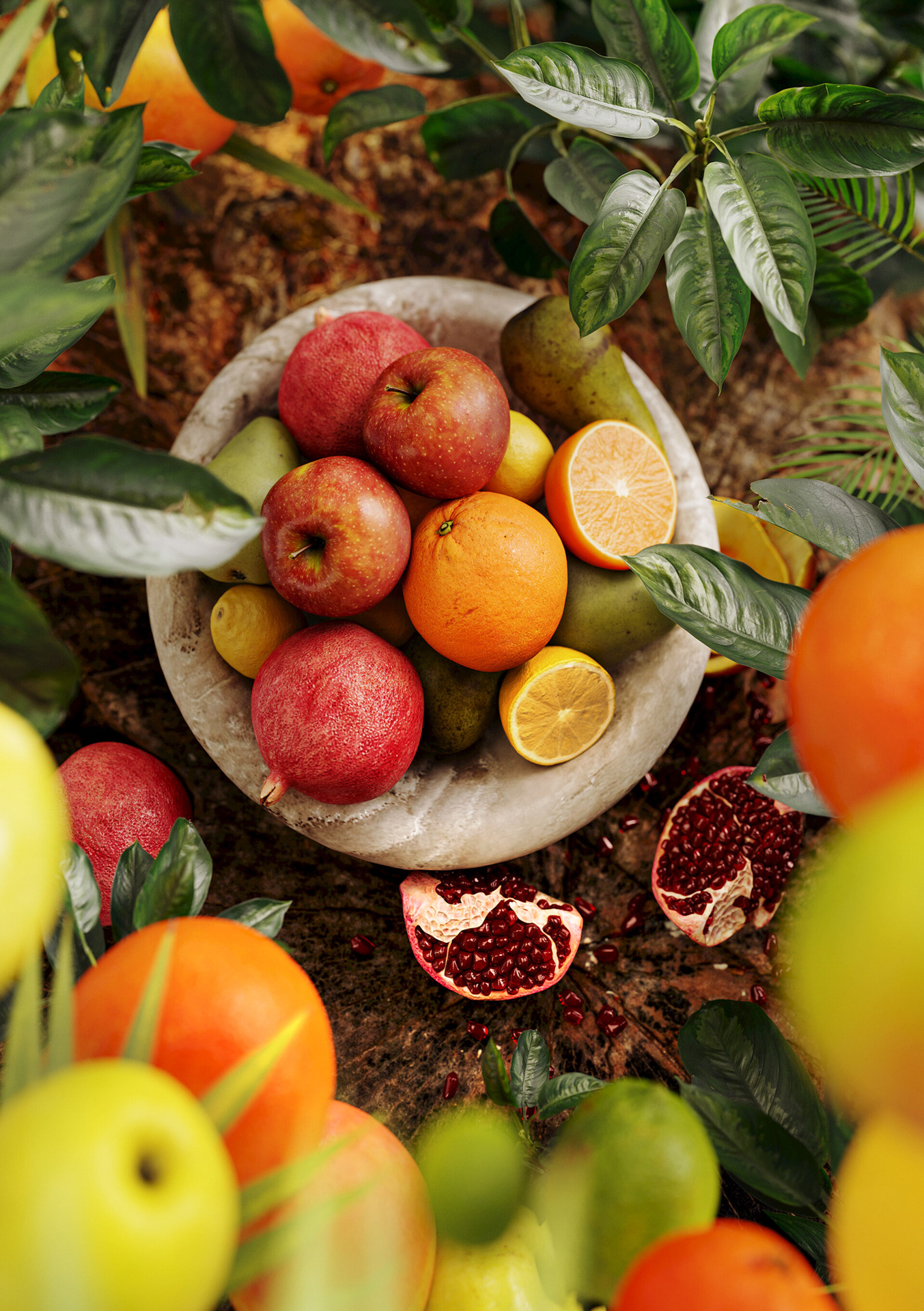 1st Place work with fruits