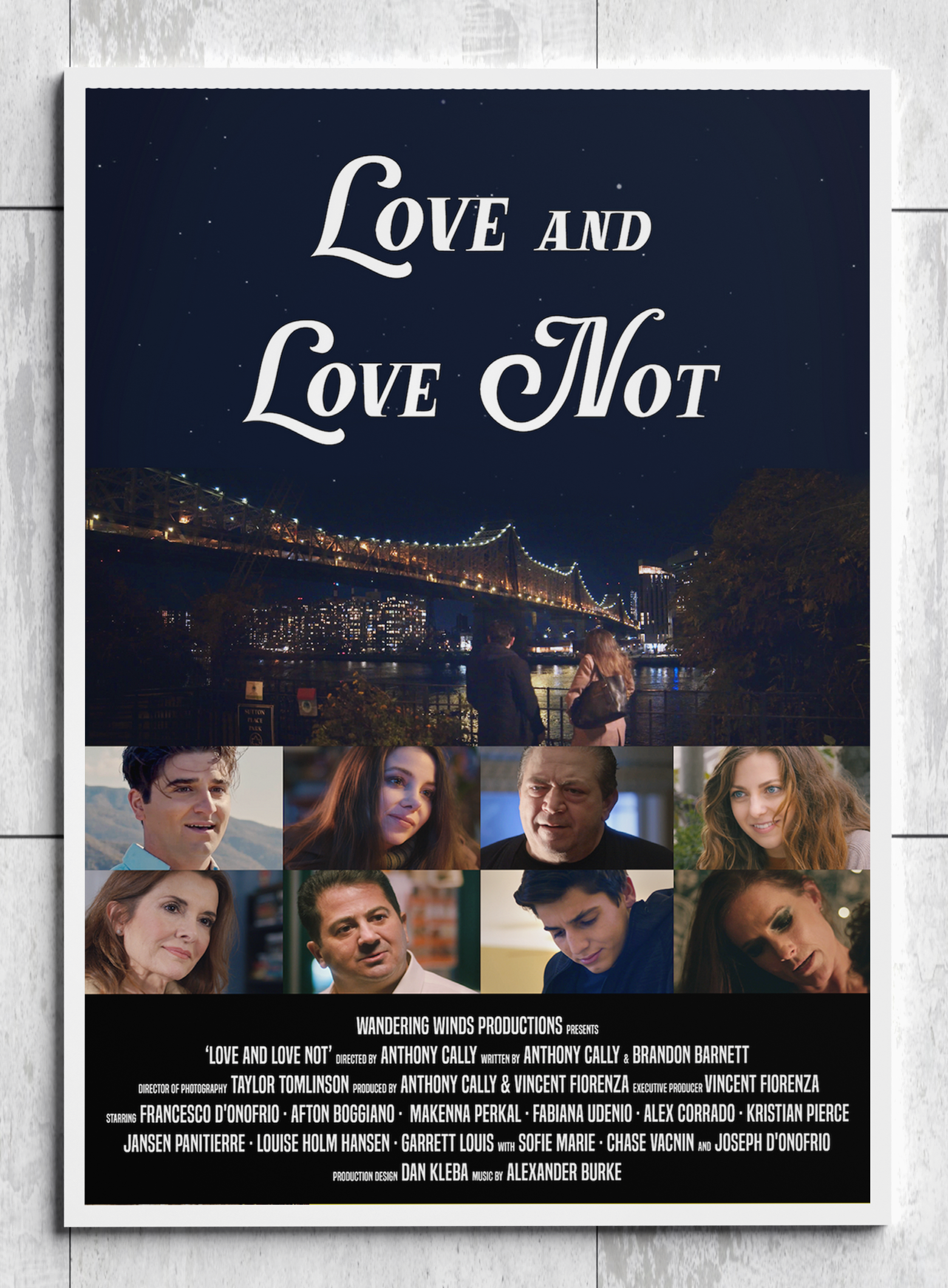 'Love and Love Not' Movie Poster