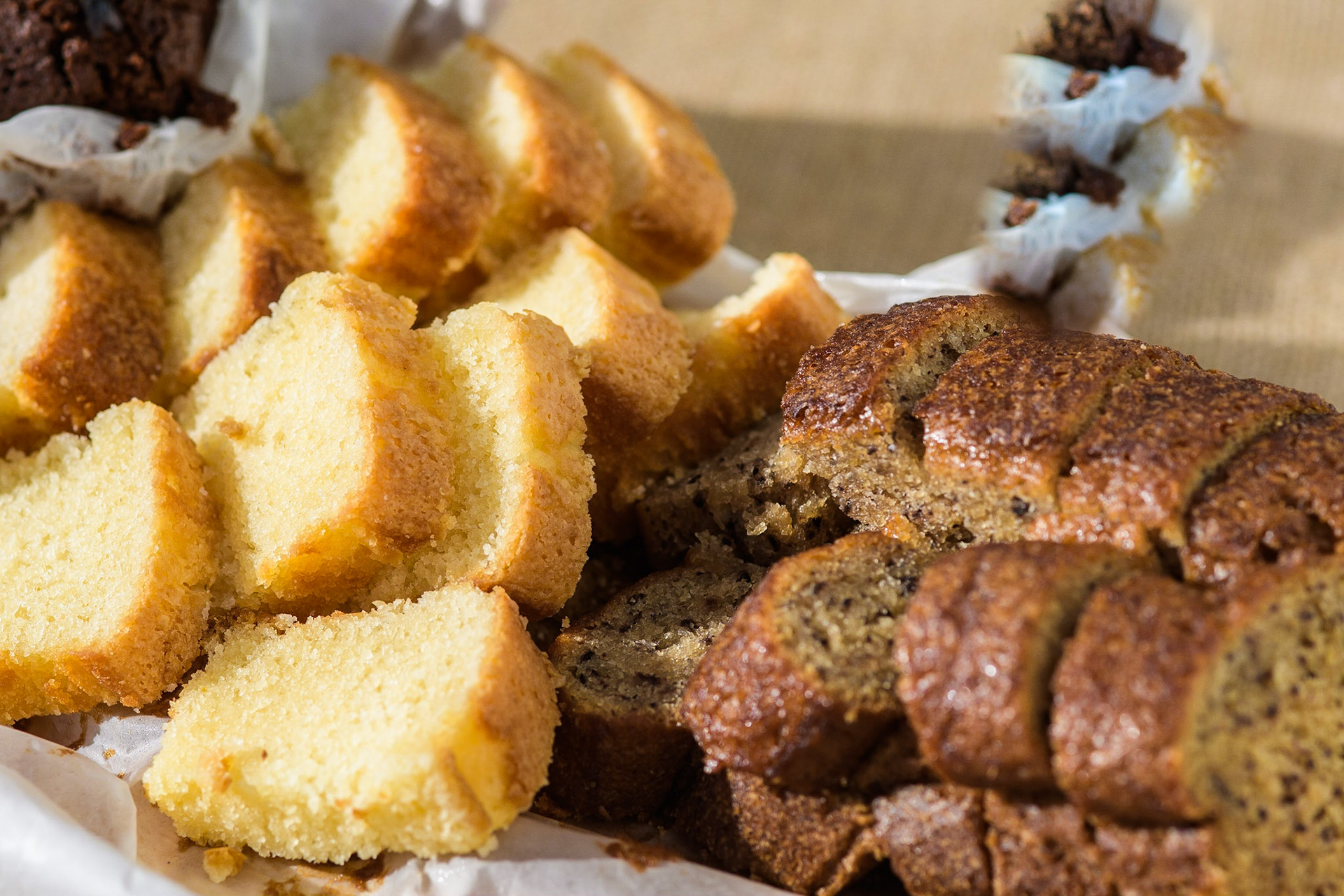 Fotografia de Produção - Canada Goose