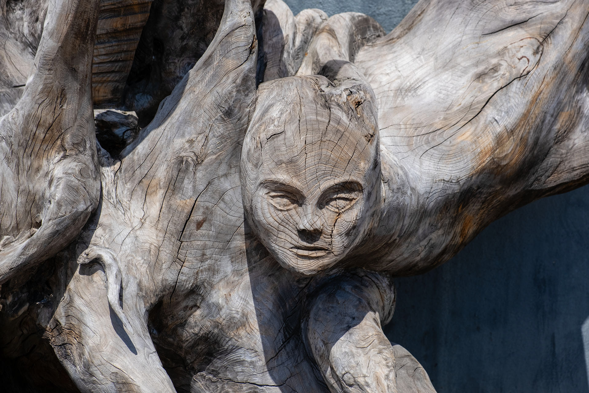 Sculpture sur arbre