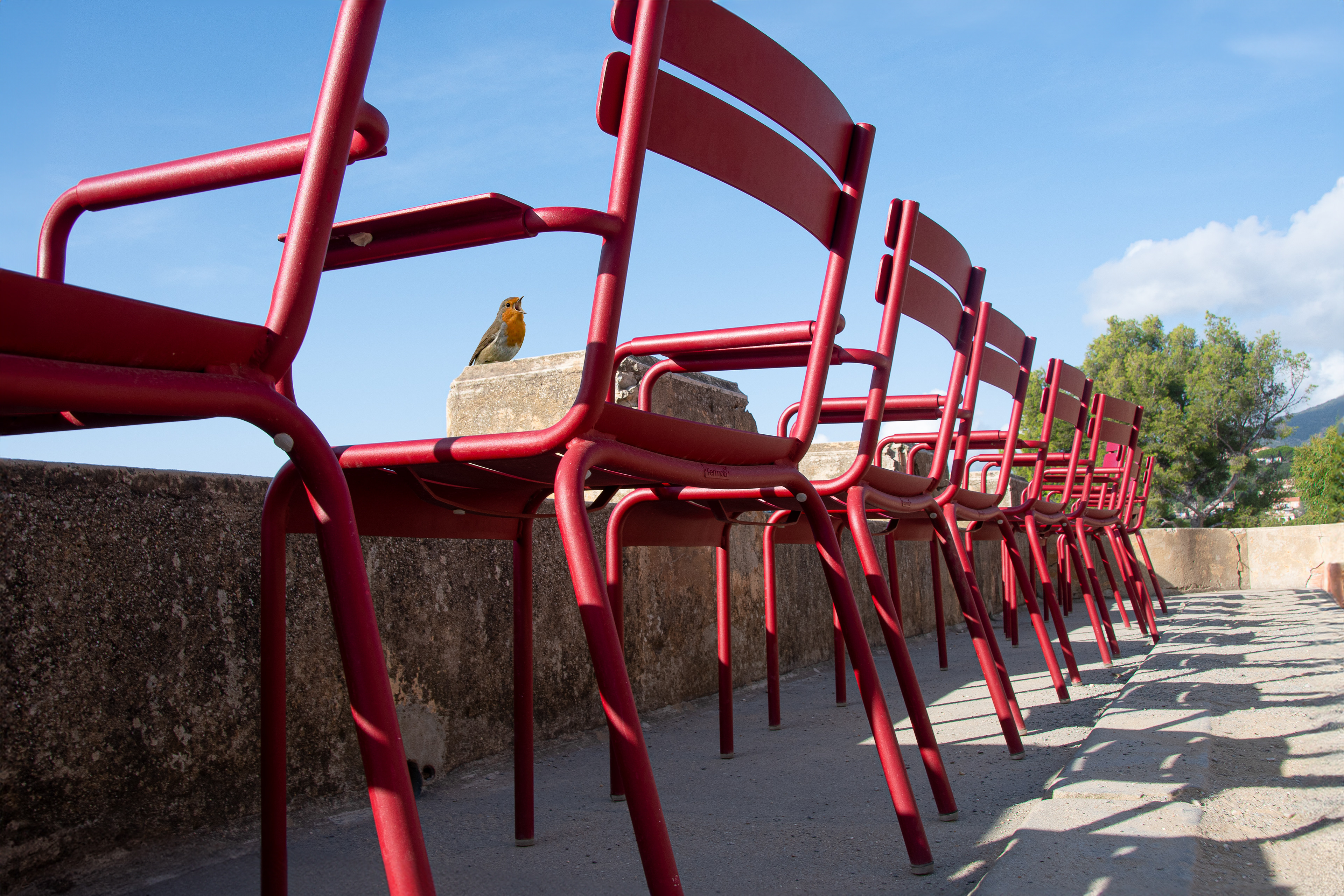 Les chaises ... rouges