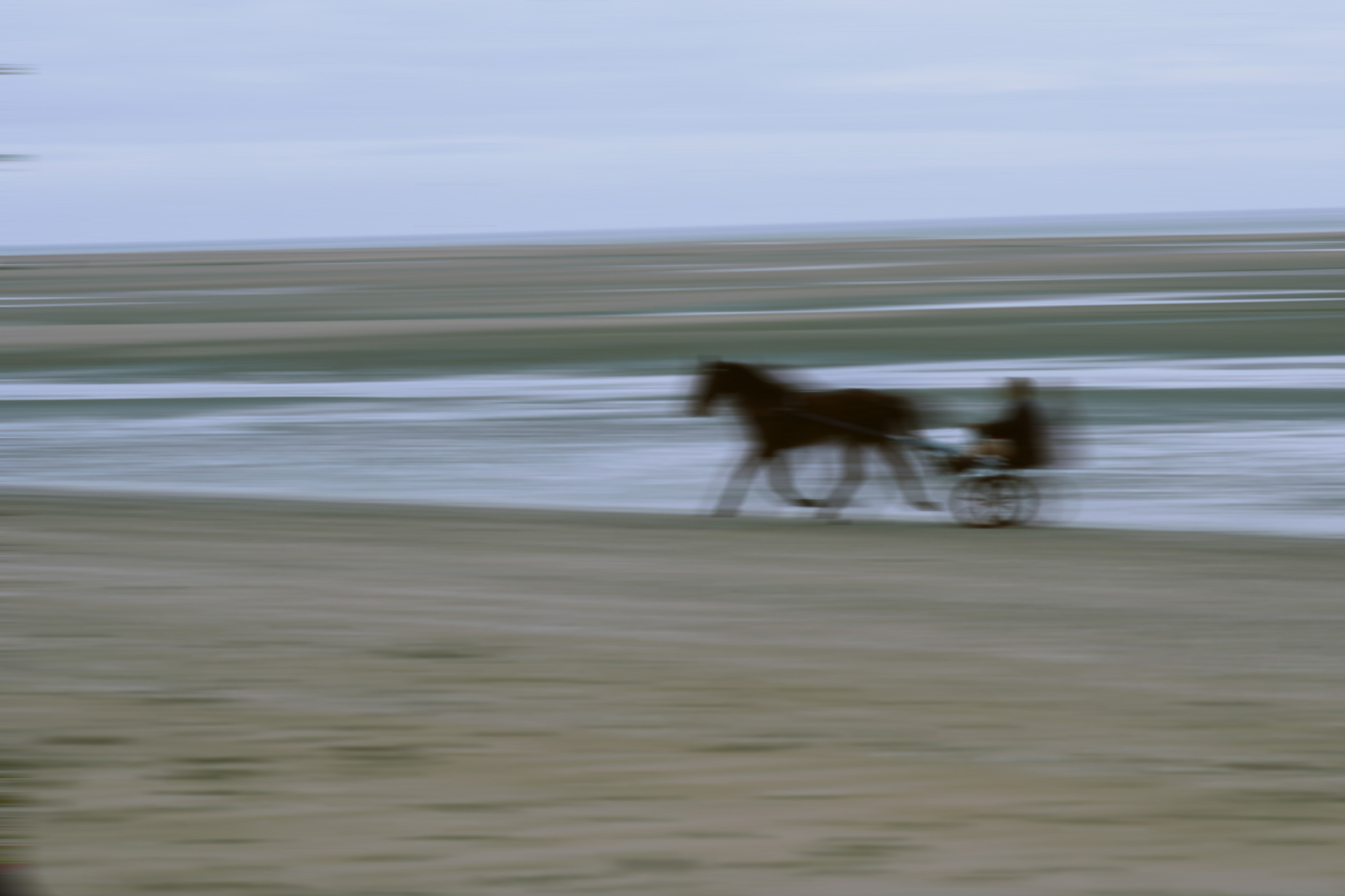 Au trot
