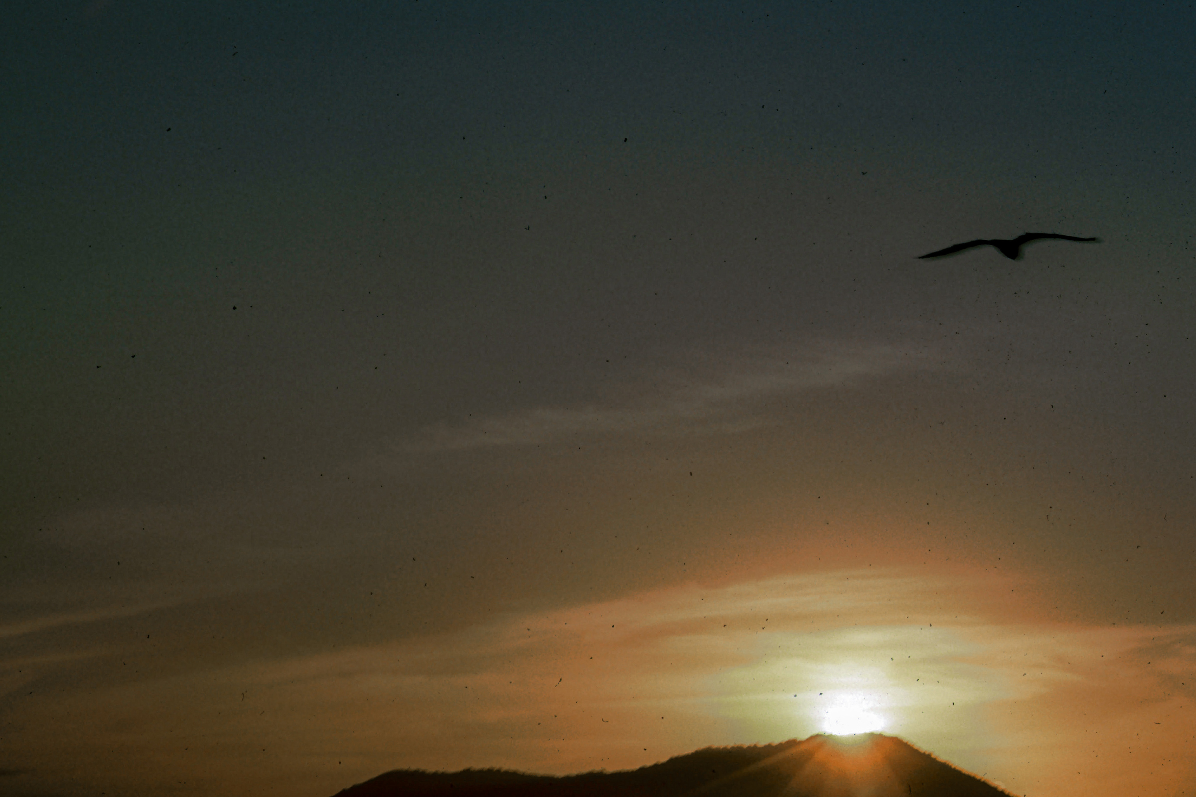 A vol d'oiseau
